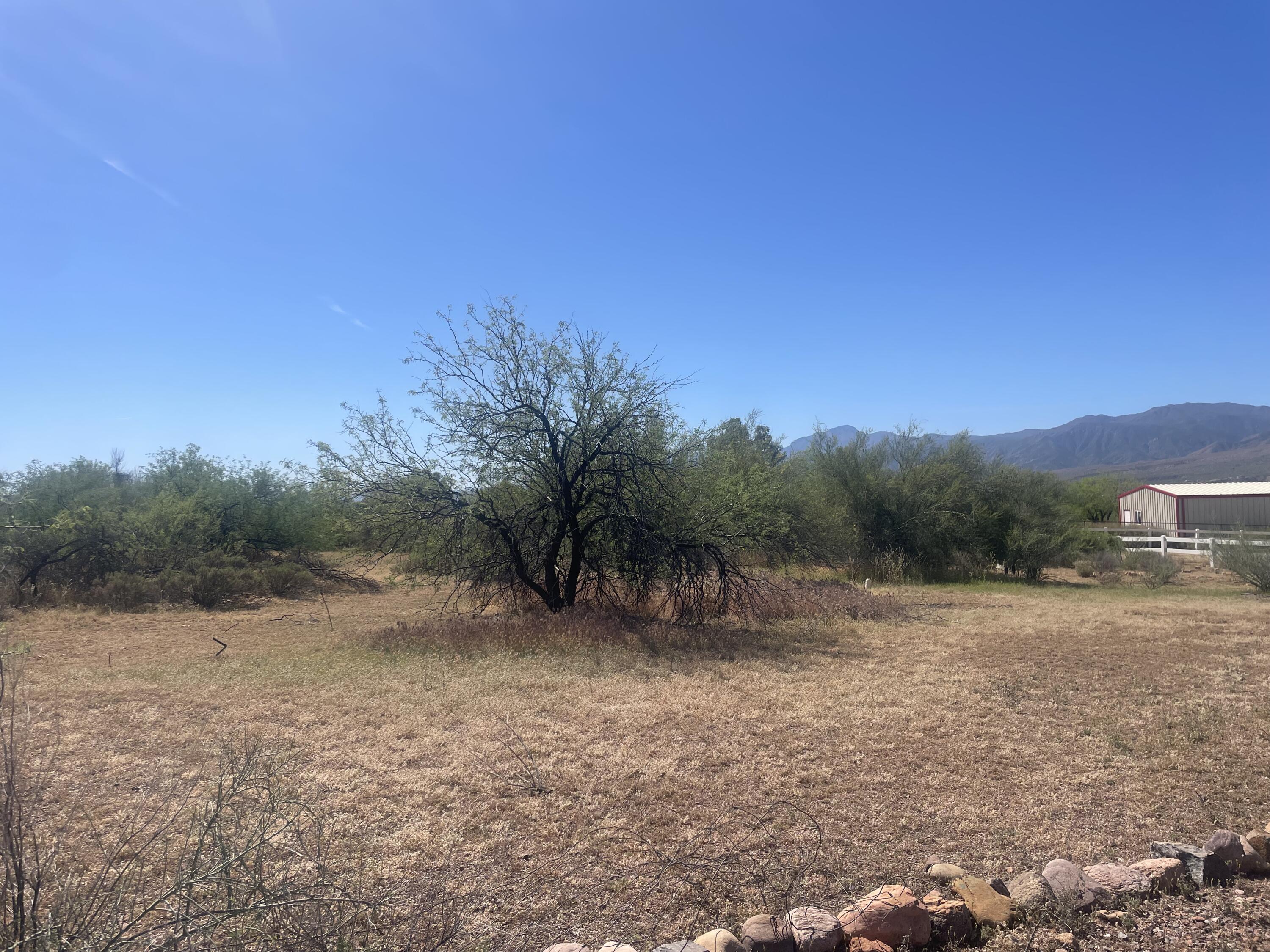 54T Ewing Trail, Tonto Basin, AZ 85553 — Photo 1 of 6