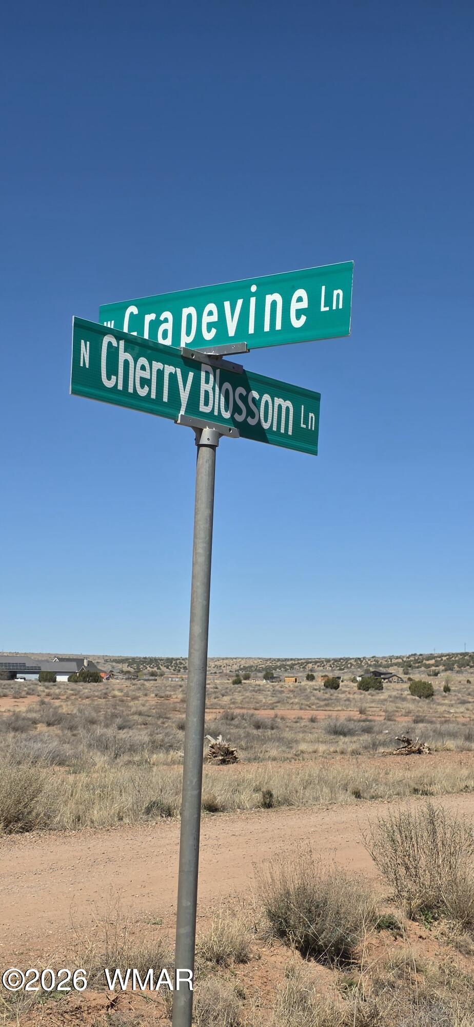 TBD N Cherry Blossom, Snowflake, AZ 85937