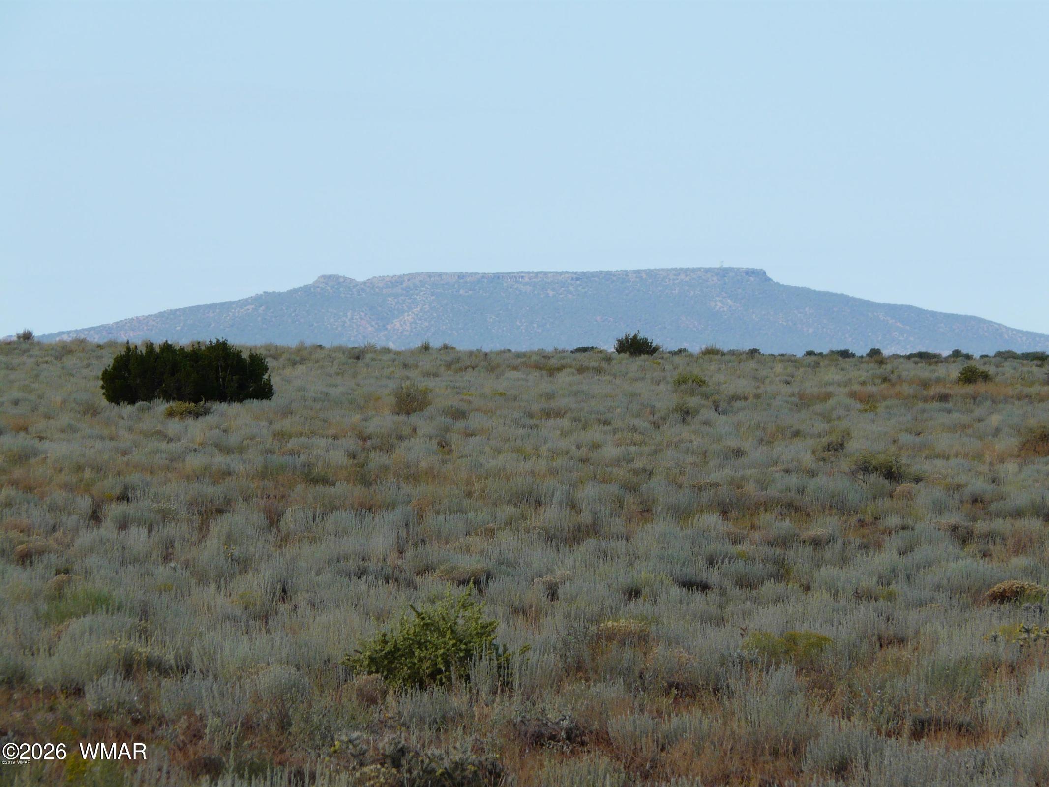 500 Chevelon Canyon Drive, Heber, AZ 85928