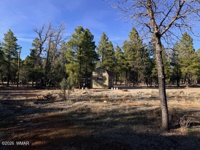 1306 Green Top Drive, Happy Jack, AZ 86024