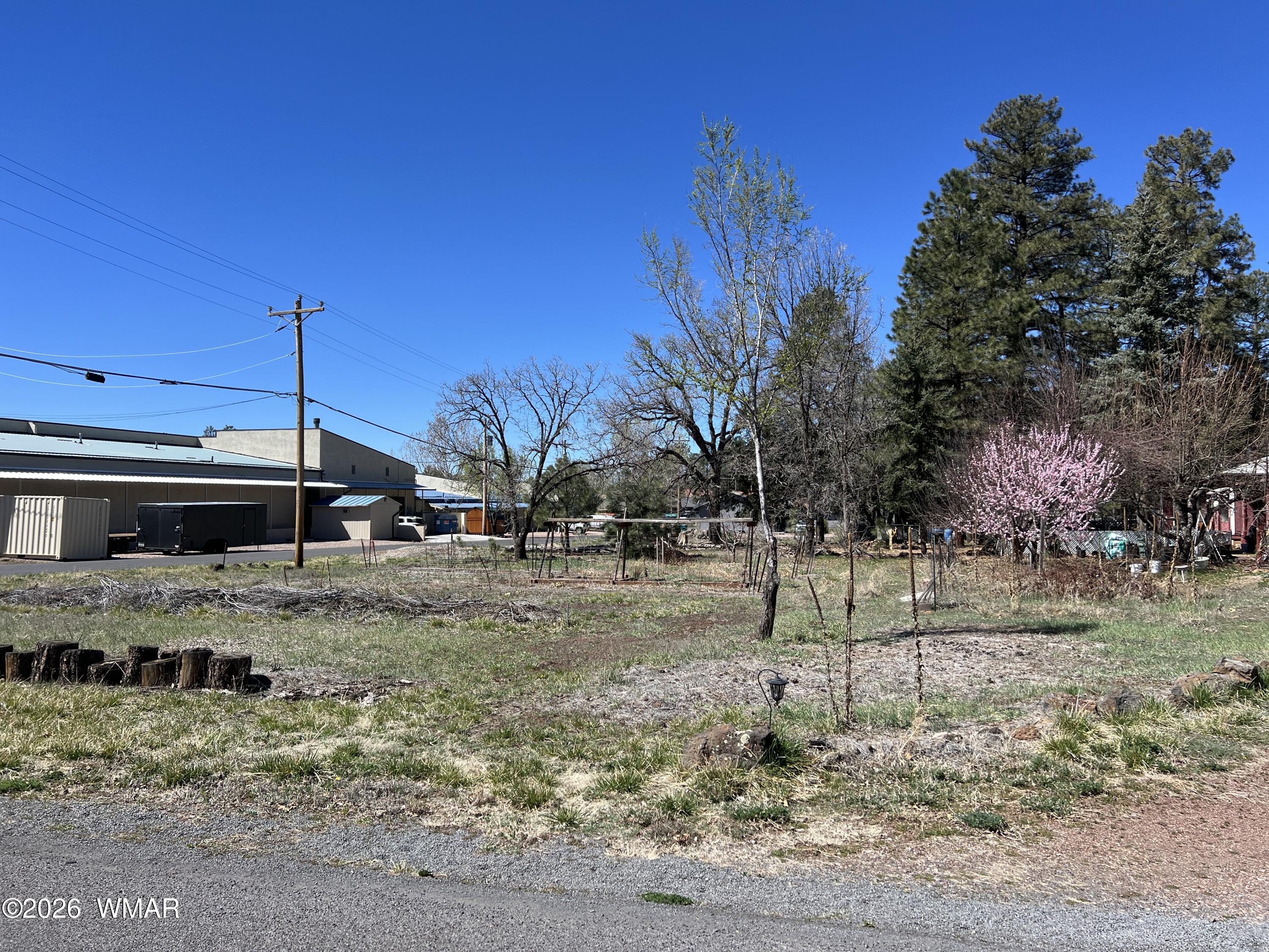 1448 S Adair Drive, Pinetop, AZ 85935