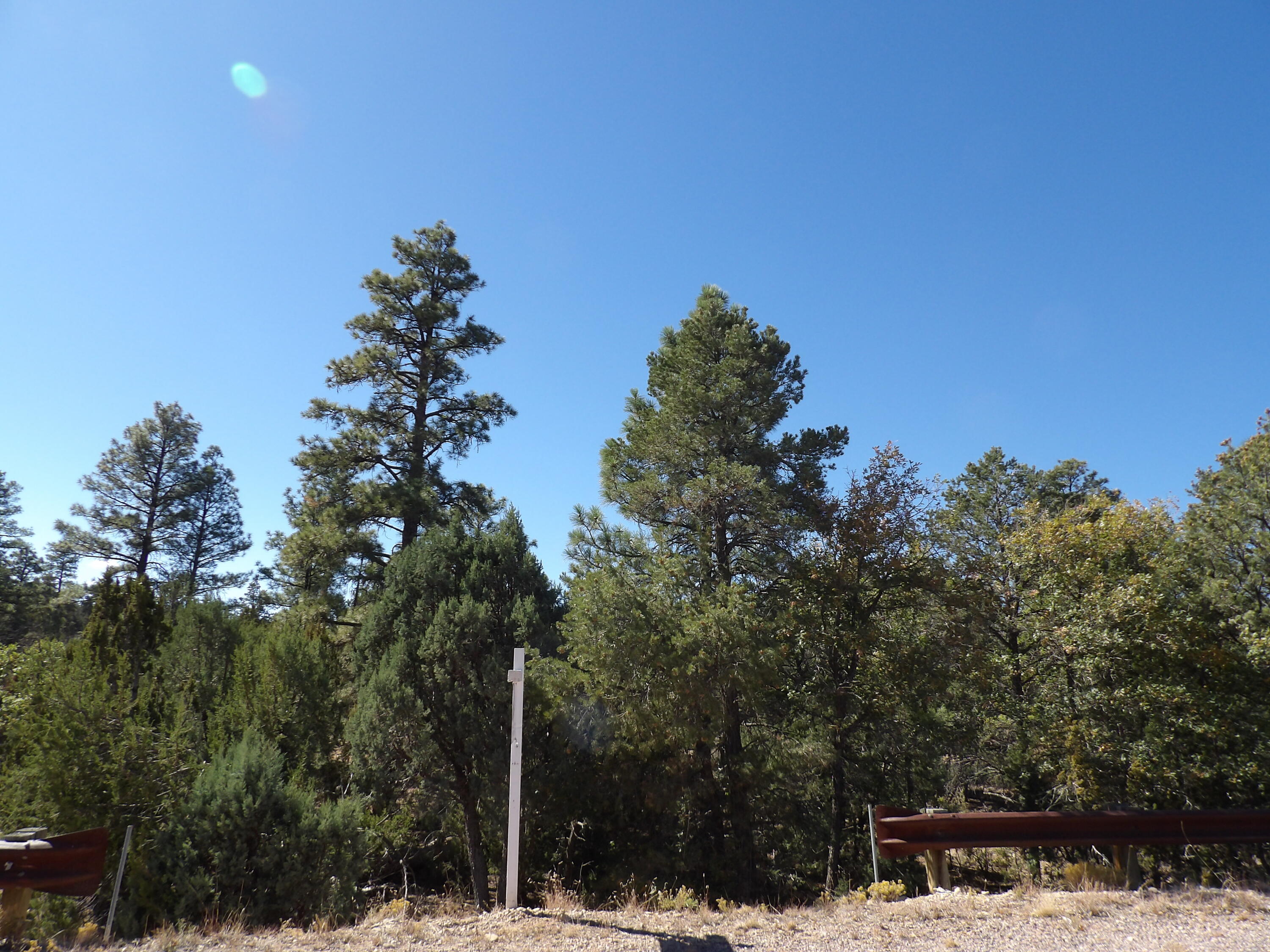 3642 Pinehurst Drive, Happy Jack, AZ 86024