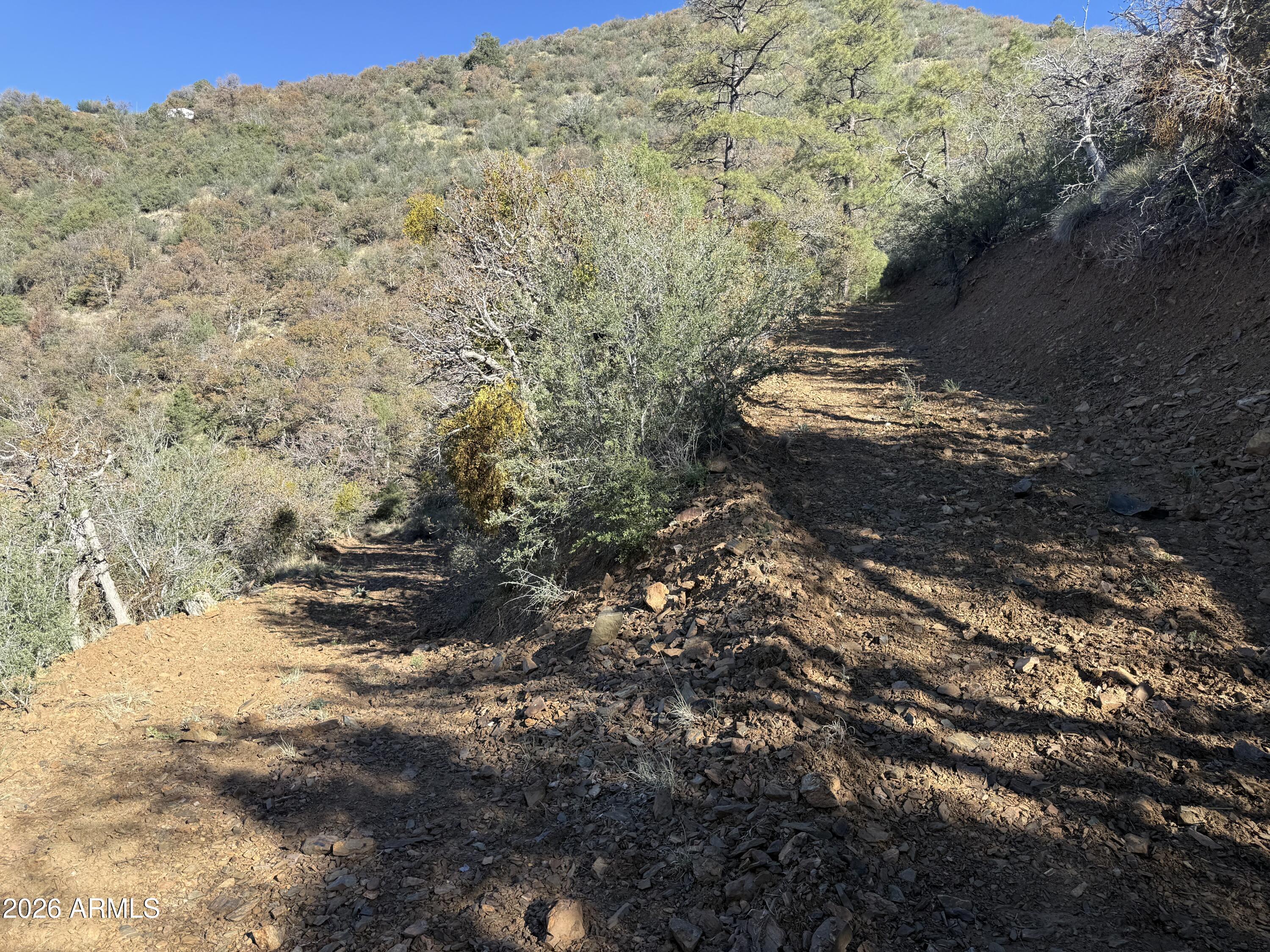 22560 S GLADIATOR MINE Road -, Crown King, AZ 86343