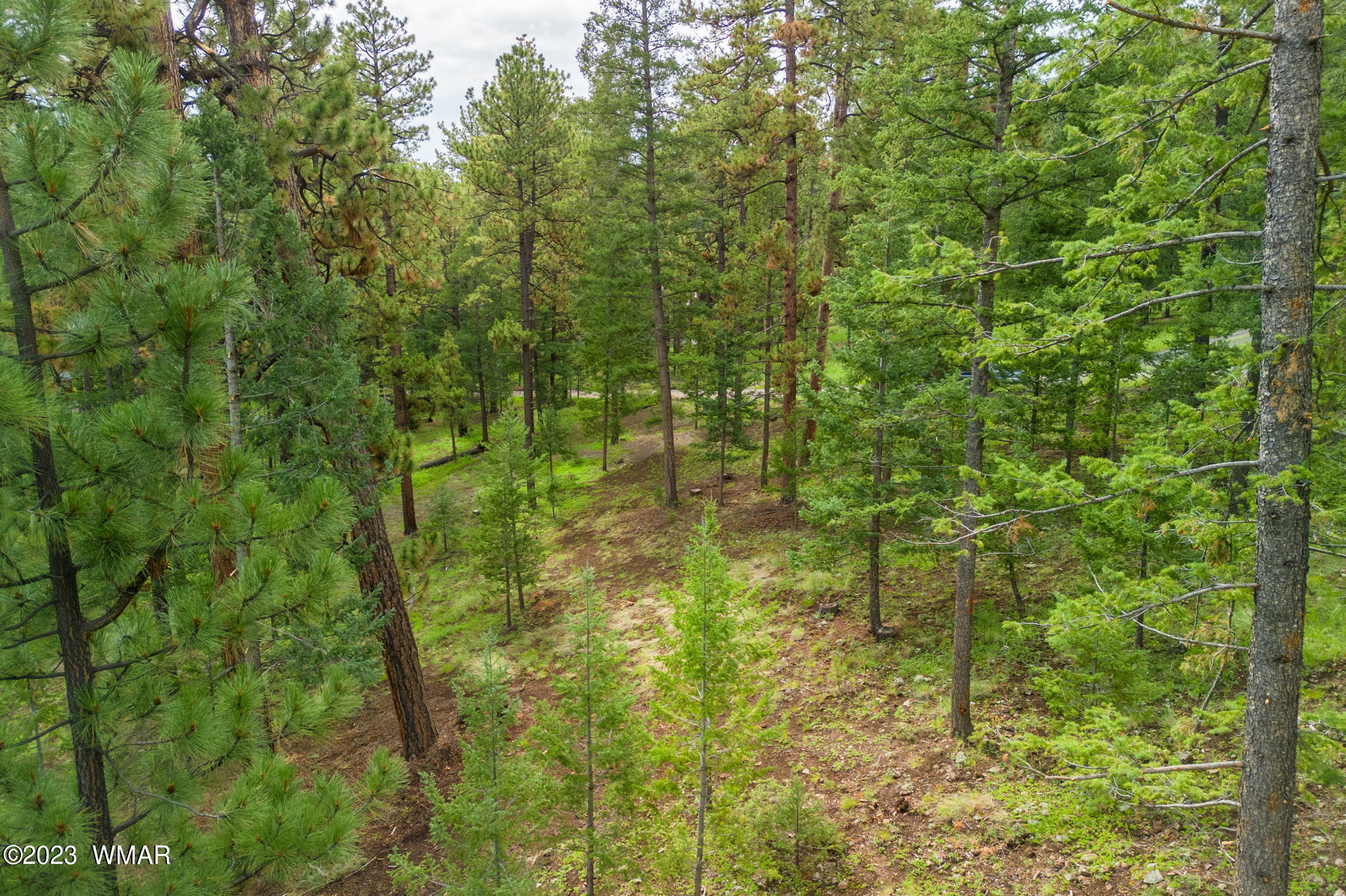 29 N1068, Greer, AZ 85927