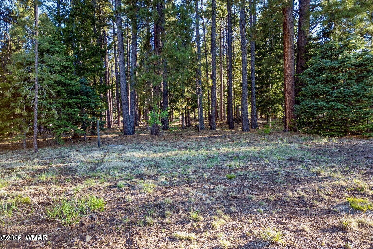 10 N 1337, Greer, AZ 85927