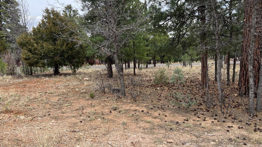 2755 Javalina Circle, Happy Jack, AZ 86024 — Photo 1 of 8