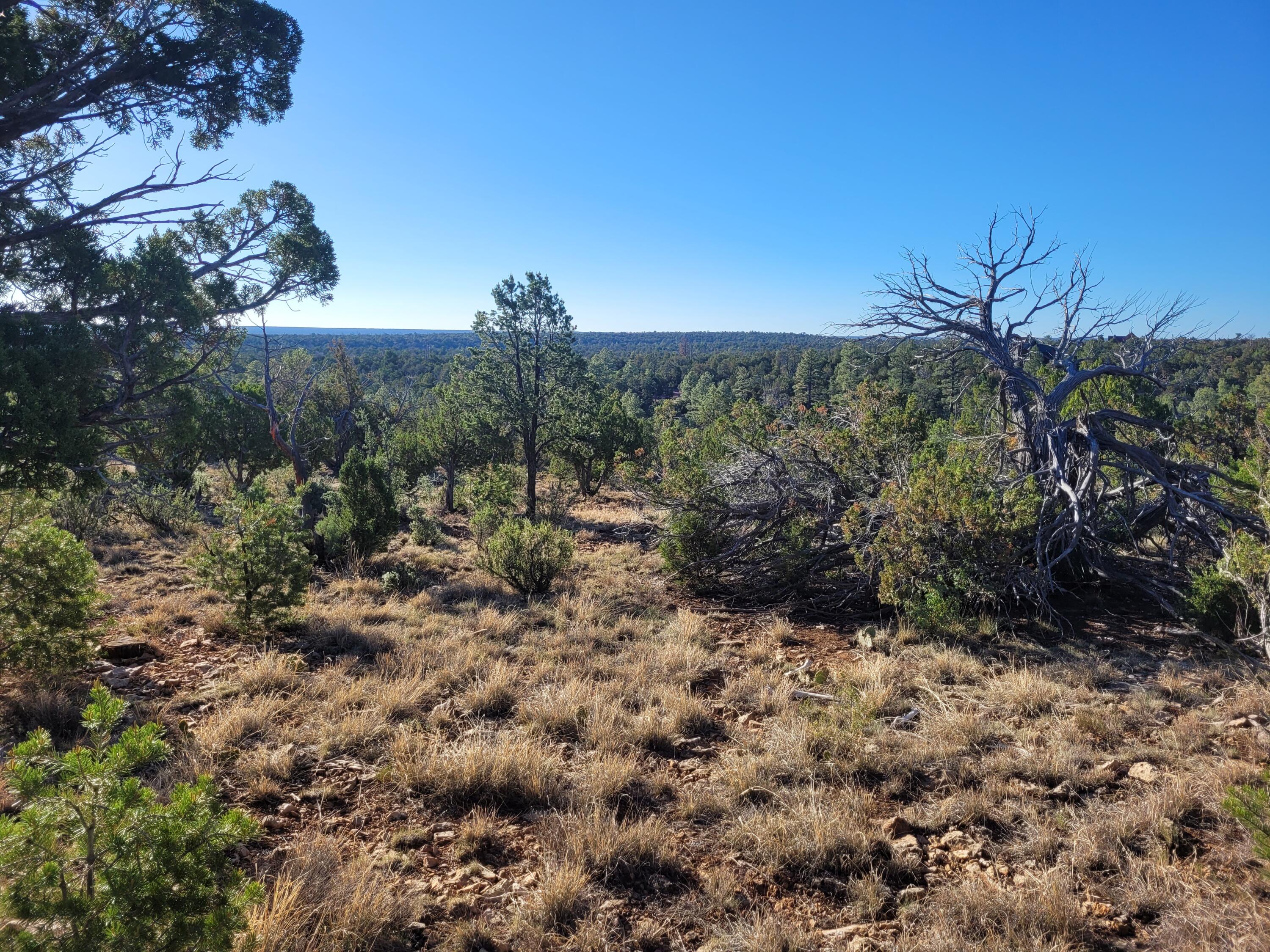 4083 Sunset Ridge Loop, Happy Jack, AZ 86024