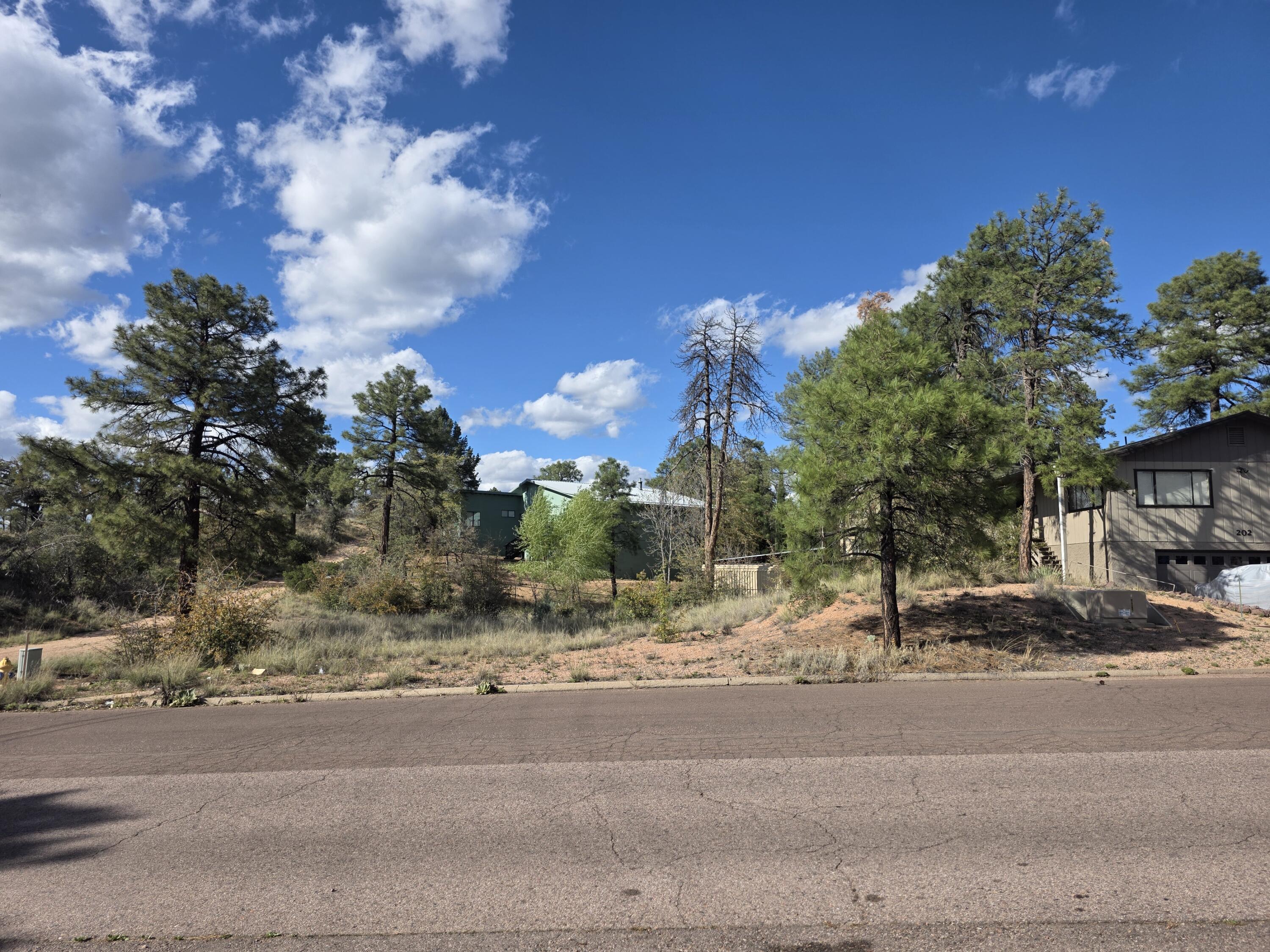 200 E Zurich Drive, Payson, AZ 85541 — Photo 1 of 5