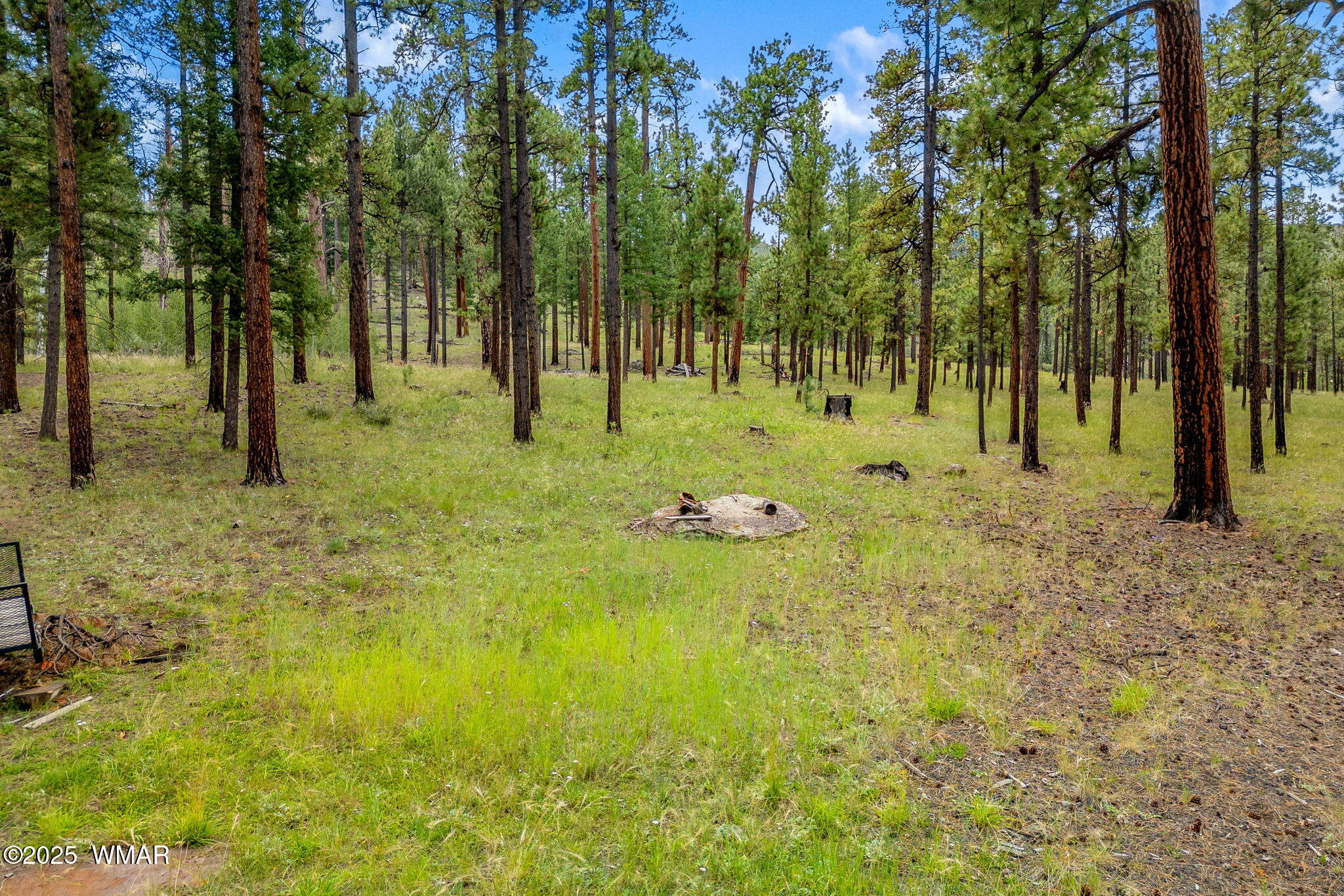 16 N1062, Greer, AZ 85927