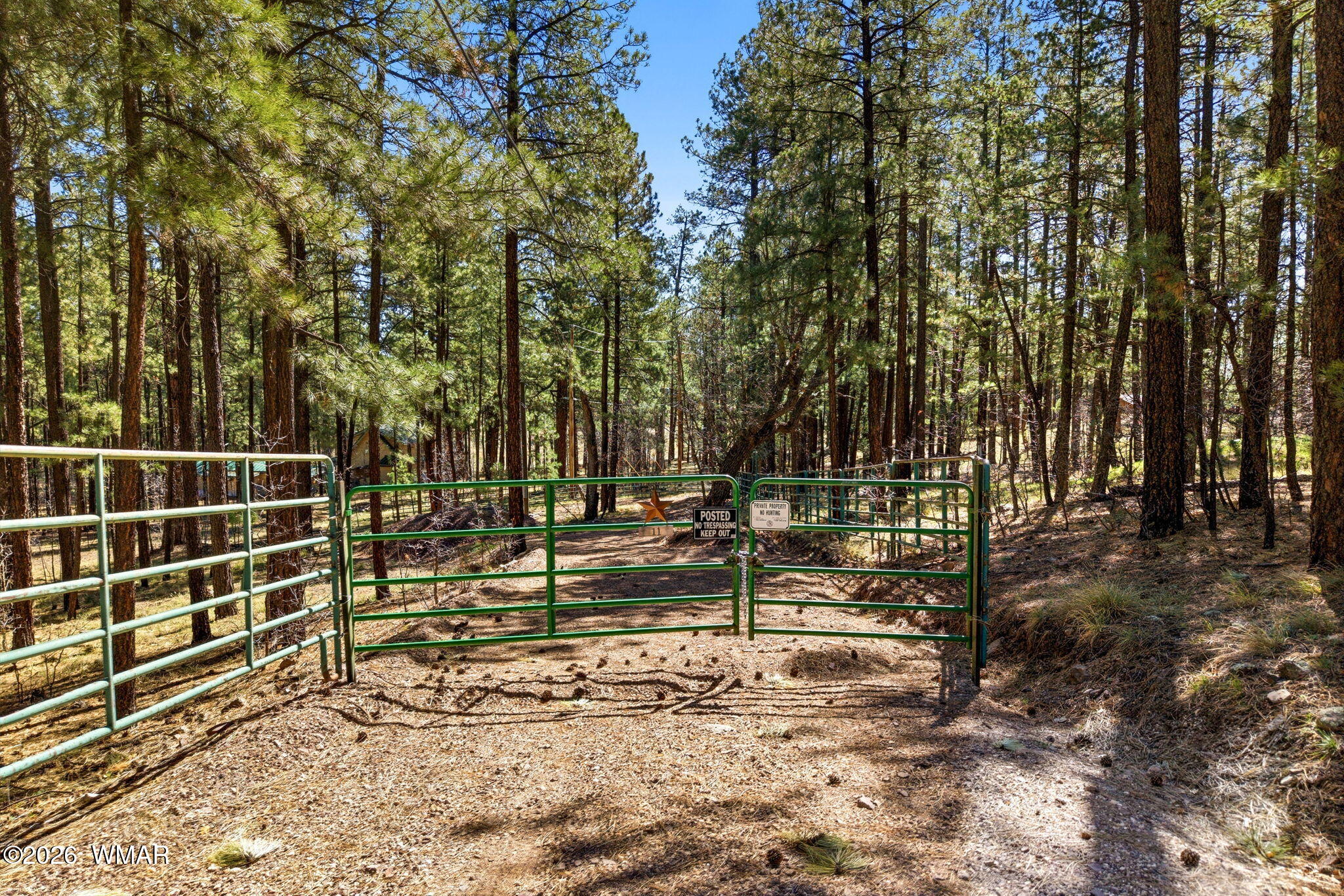 11 County Road 2135, Alpine, AZ 85920