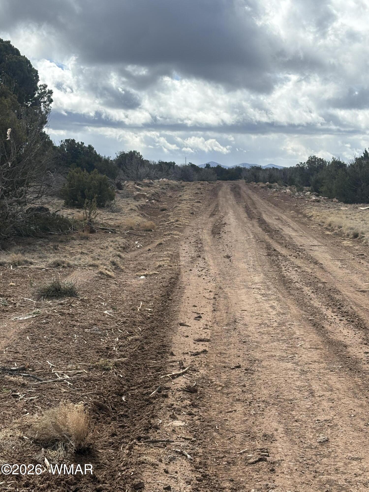 3C N8716, Concho, AZ 85924