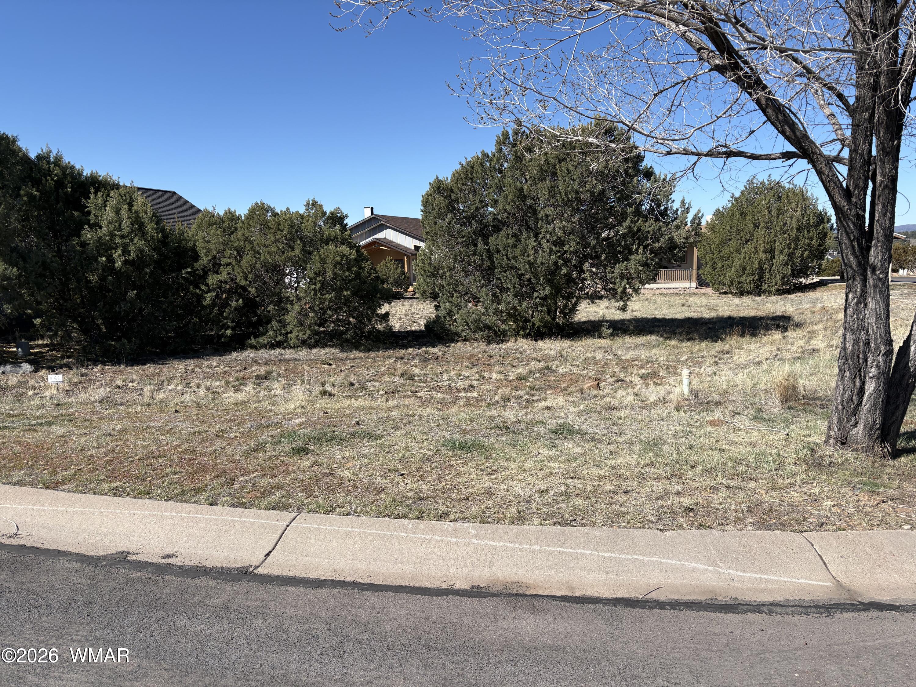 500 S Ridge Drive, Show Low, AZ 85901