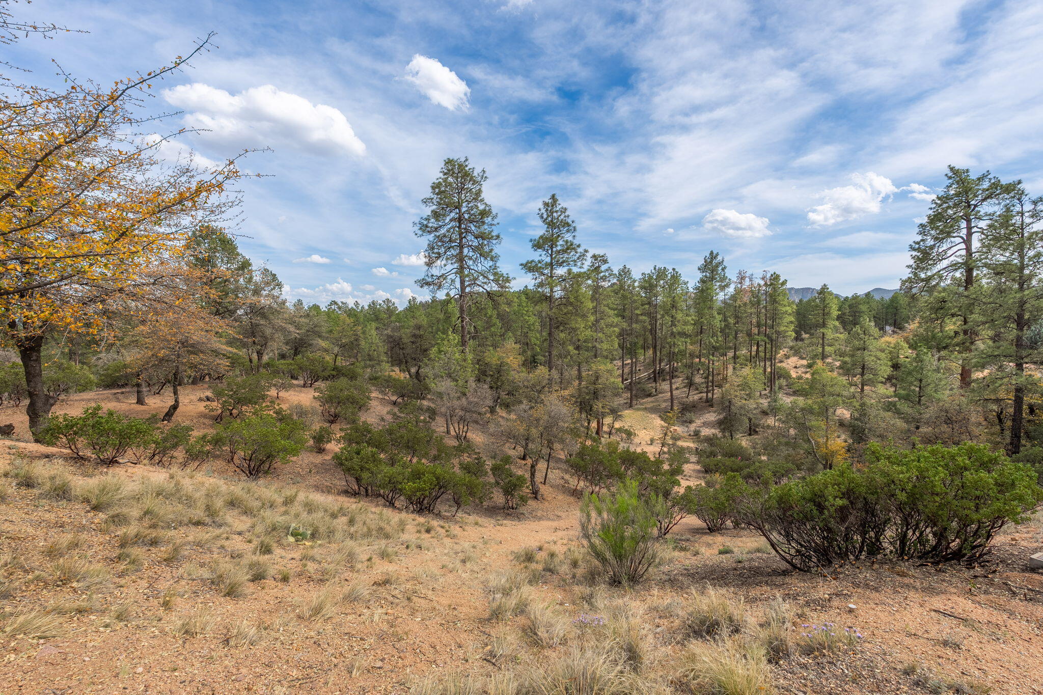 3010 E Arrow Point, Payson, AZ 85541
