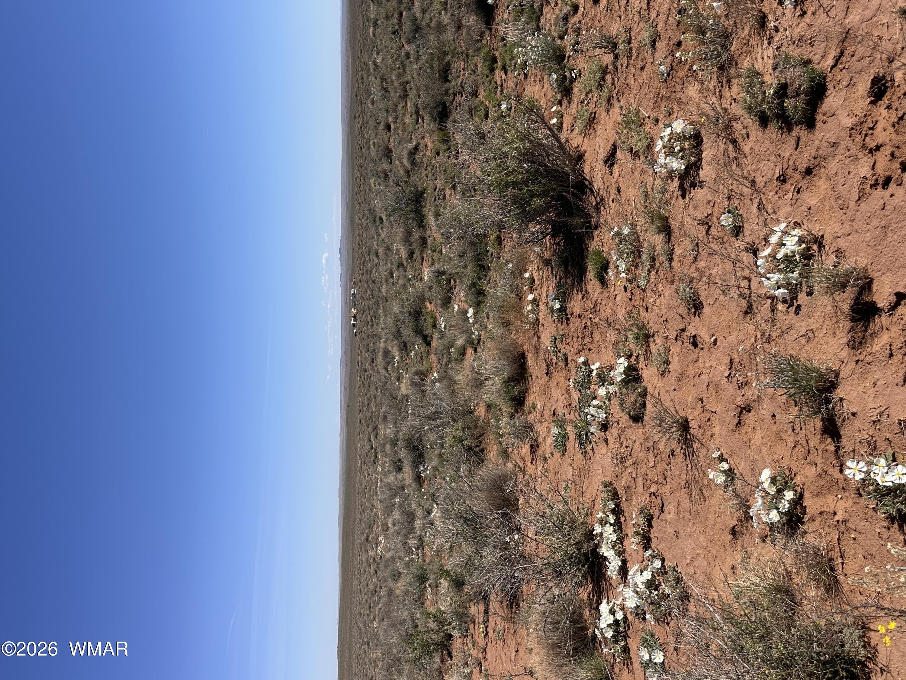 5647 Kohl Road, Snowflake, AZ 85937 — Photo 1 of 5