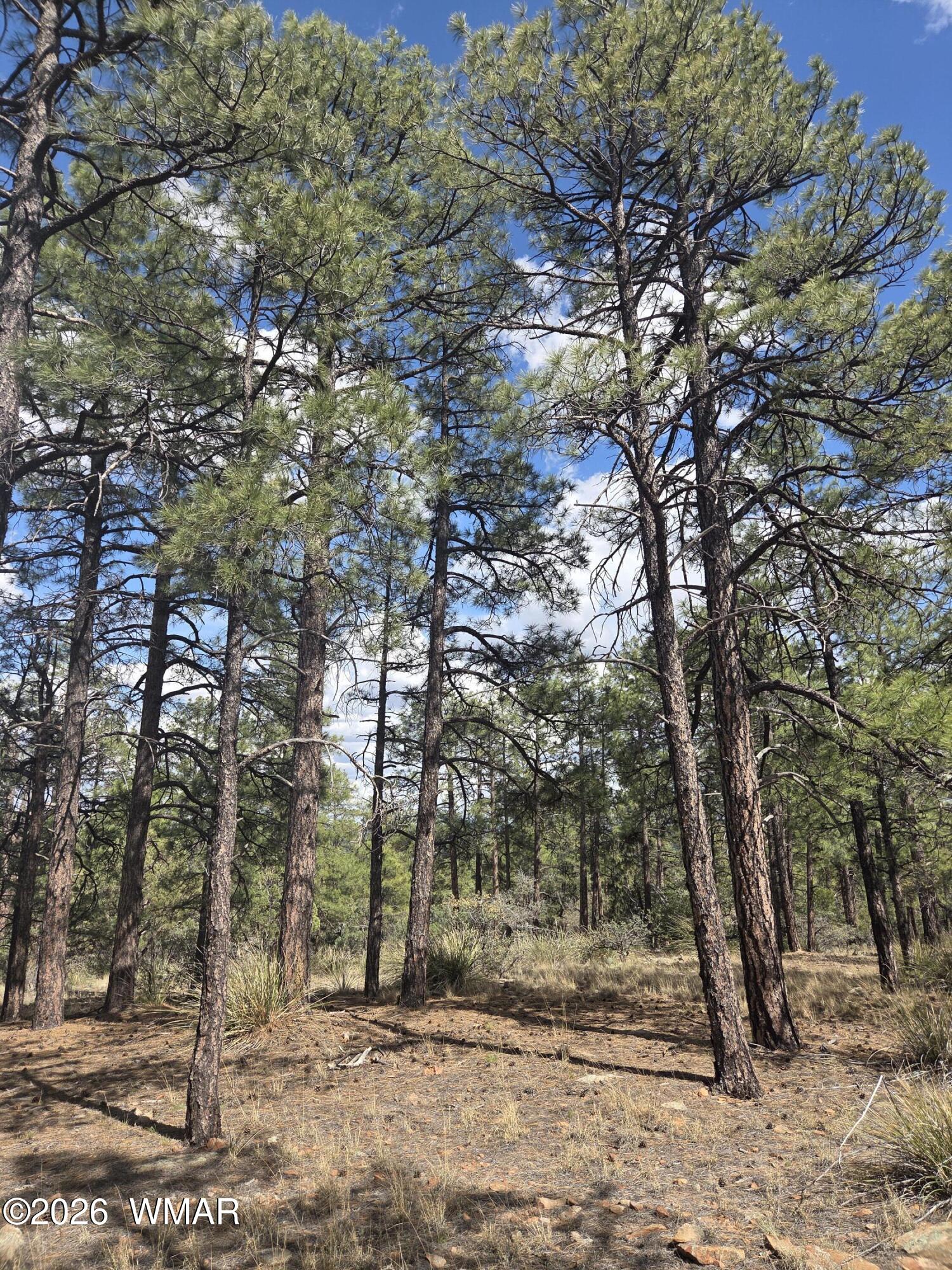 1045 Snowy Rock Ridge Drive, Show Low, AZ 85901 — Photo 1 of 29