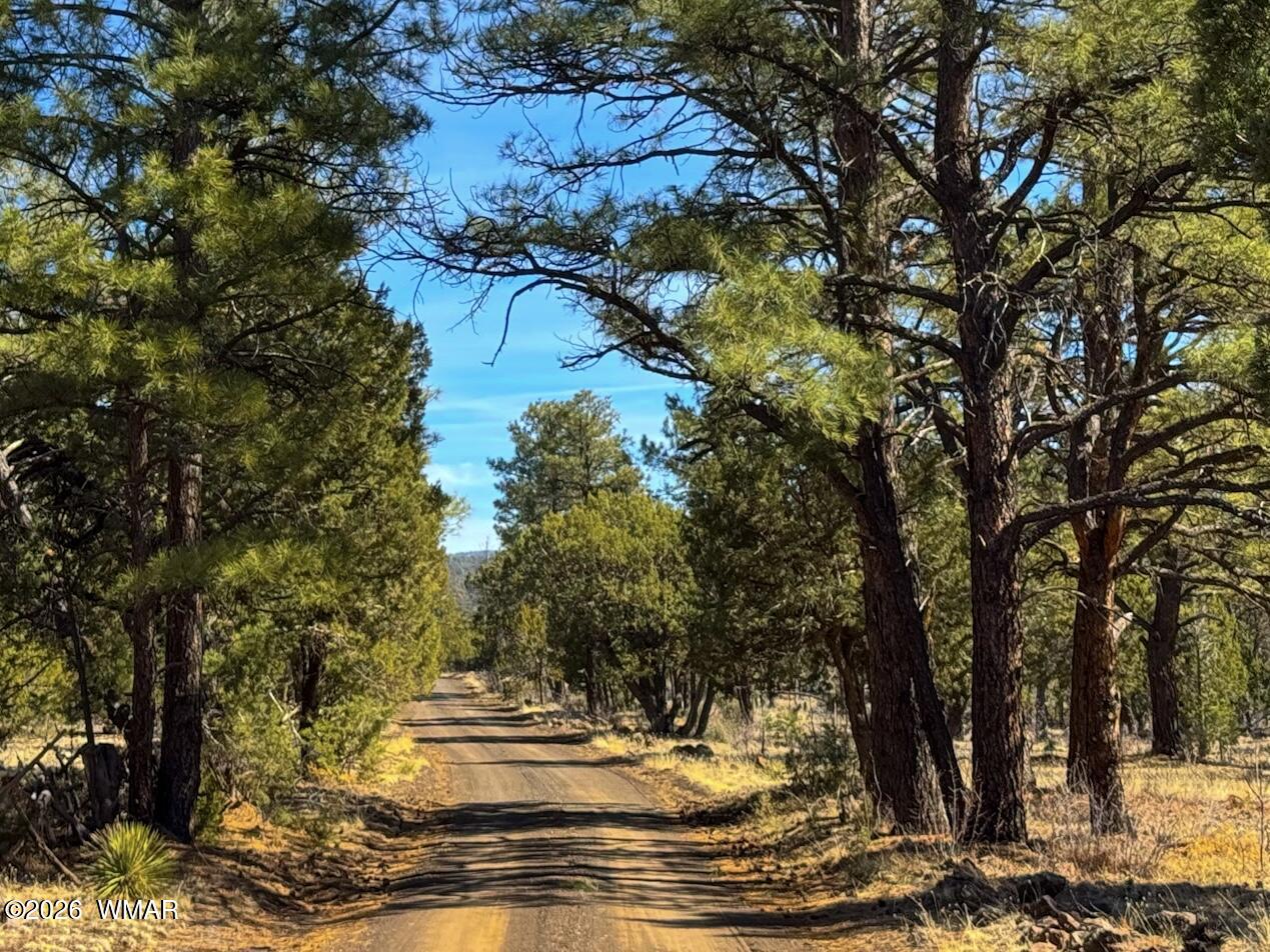 11 Co Rd 3262 5 Acres, Vernon, AZ 85940 — Photo 1 of 28