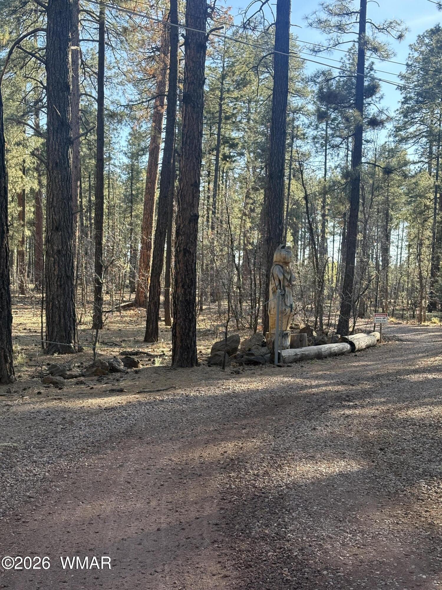 TBD 212-56-060F, Lakeside, AZ 85929 — Photo 1 of 7