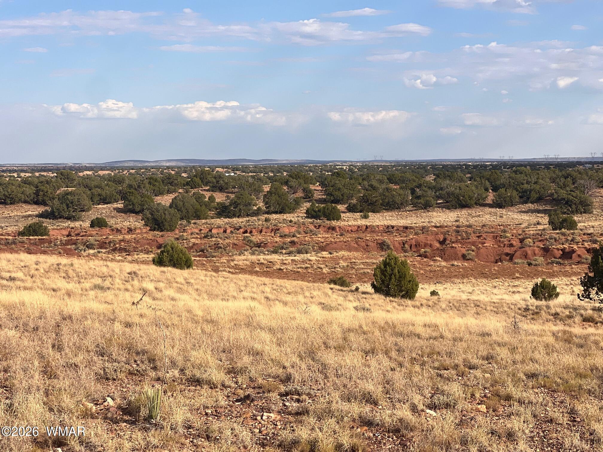 N9237 Miller Lane, Concho, AZ 85924 — Photo 1 of 25