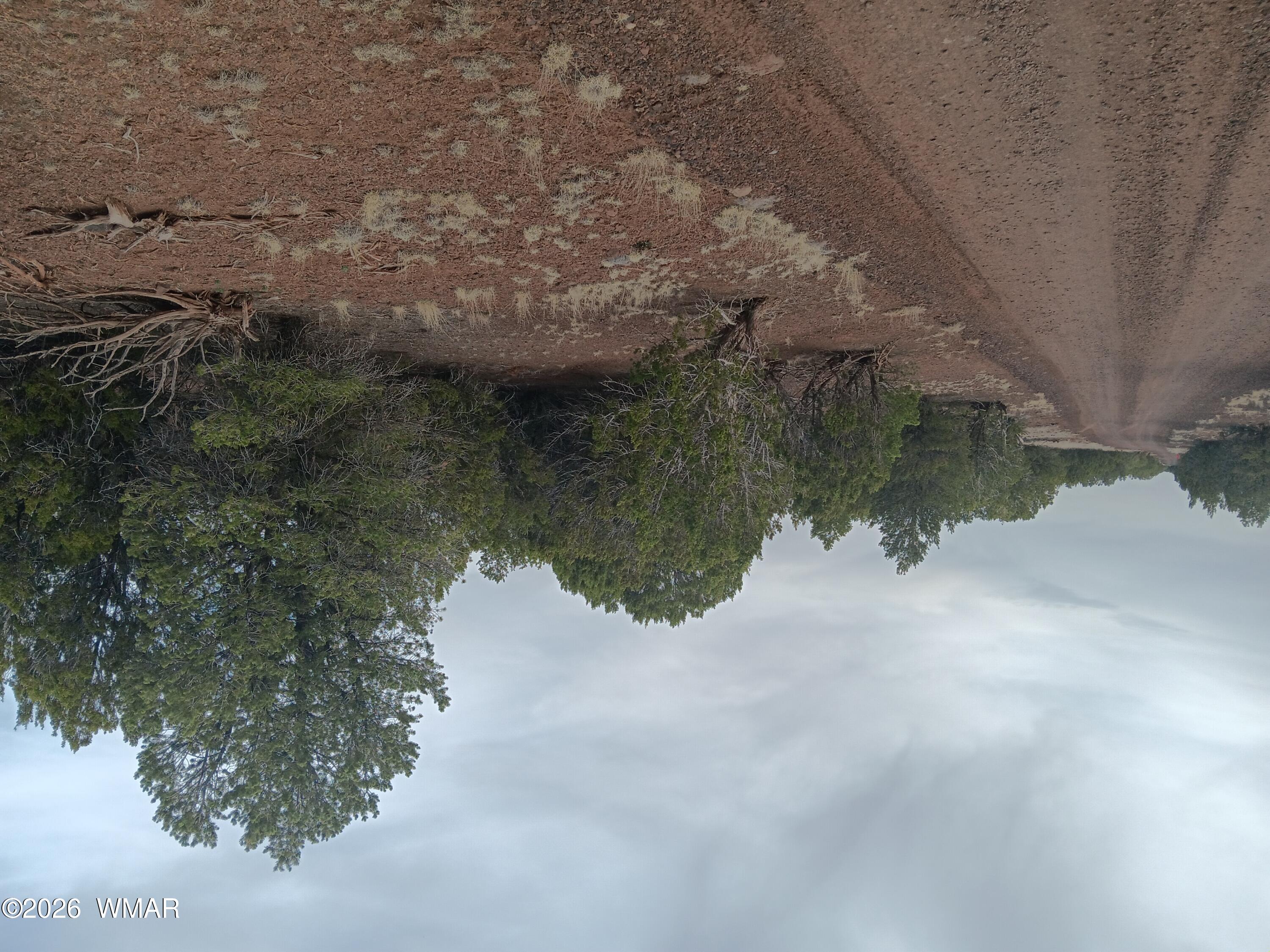 30 N8412, Concho, AZ 85924 — Photo 1 of 6