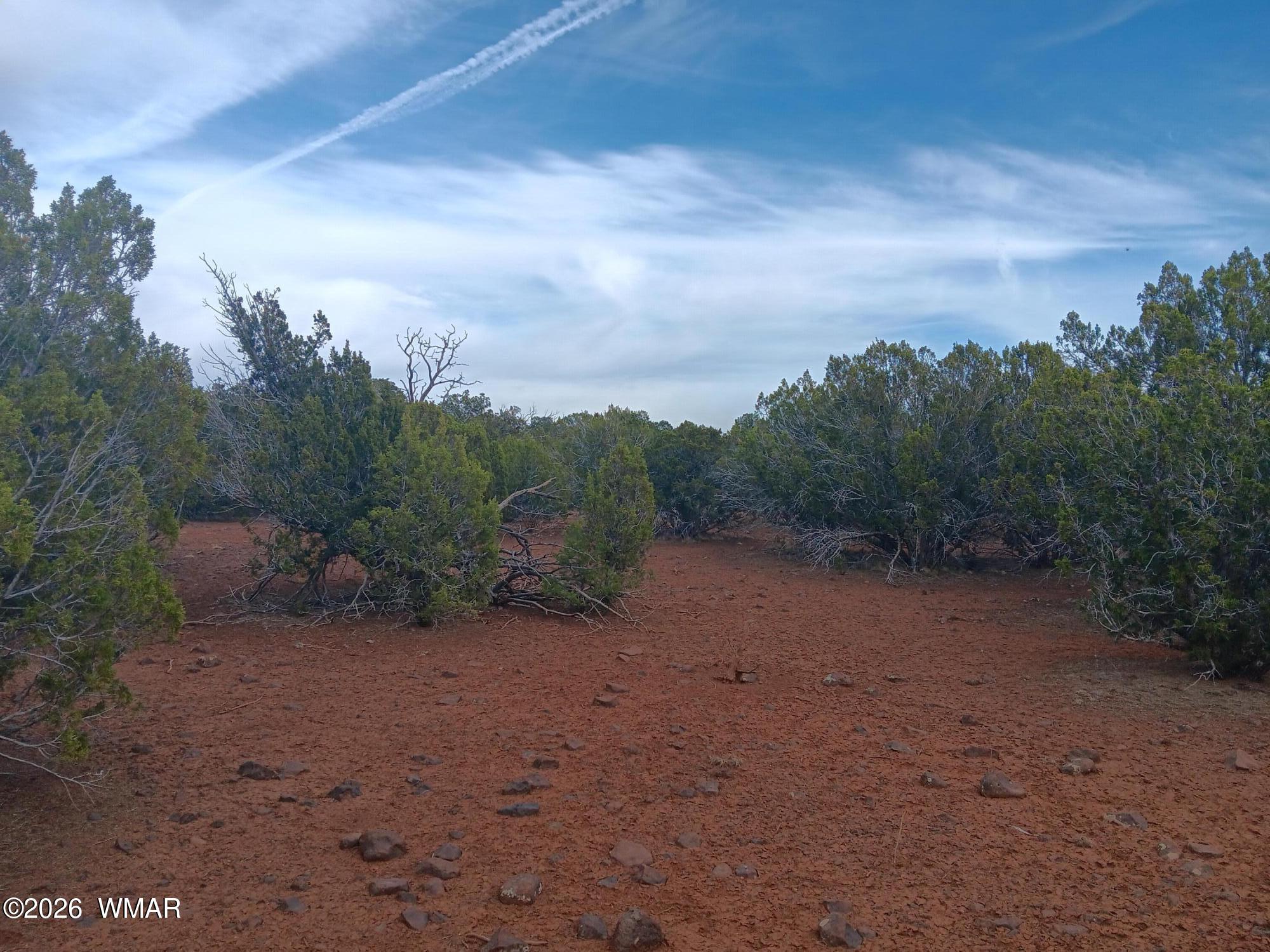 28 N8412, Concho, AZ 85924