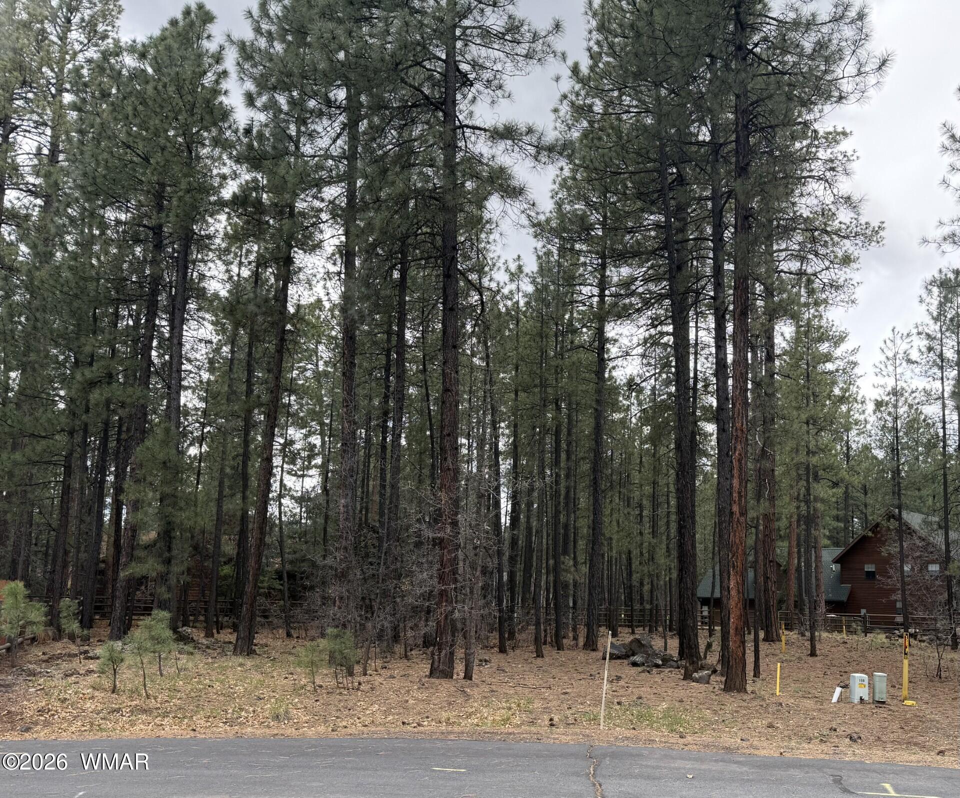 2738 Timber Ridge Lane, Pinetop, AZ 85935
