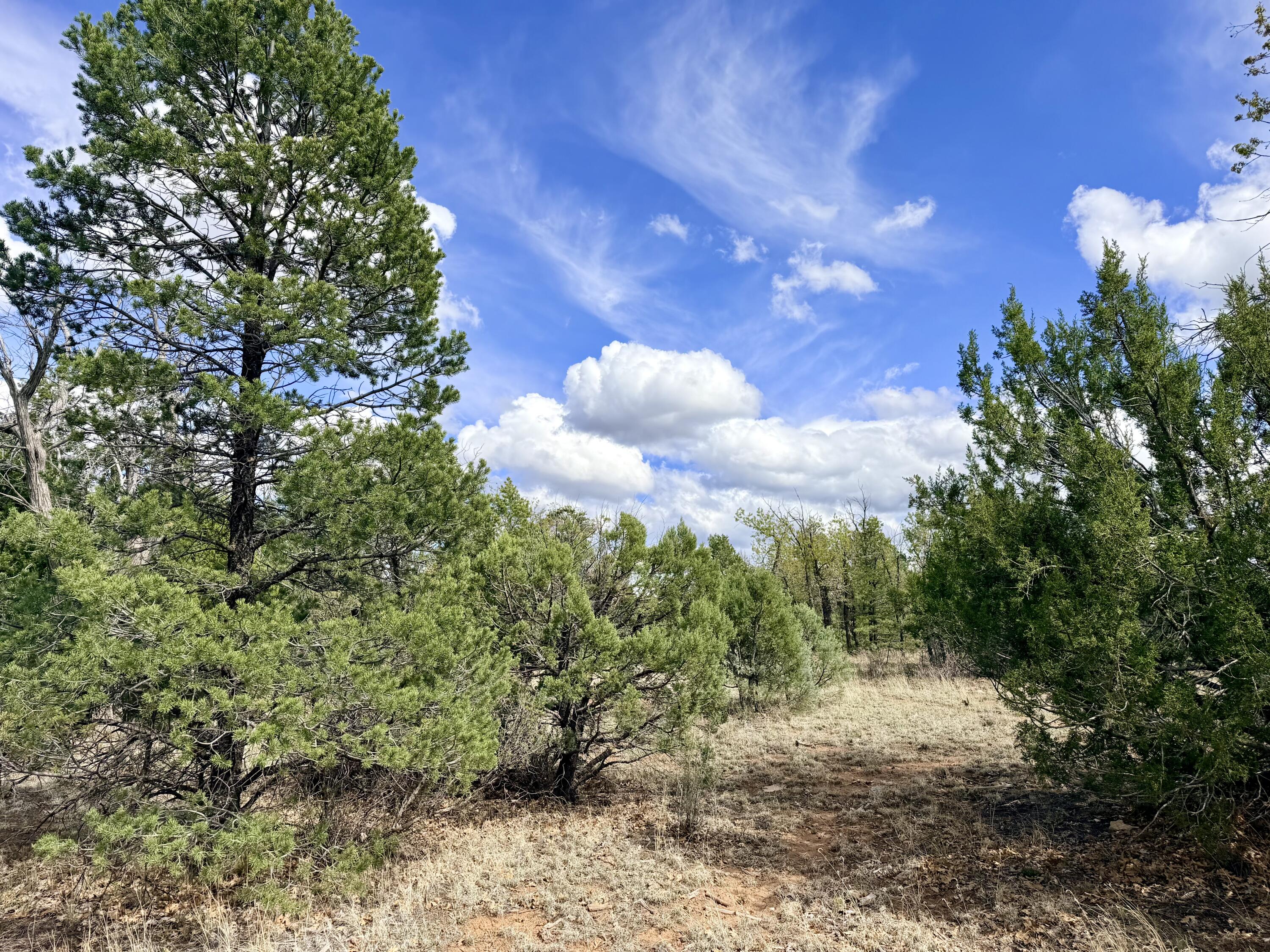 7112 Horizon Circle, Happy Jack, AZ 86024