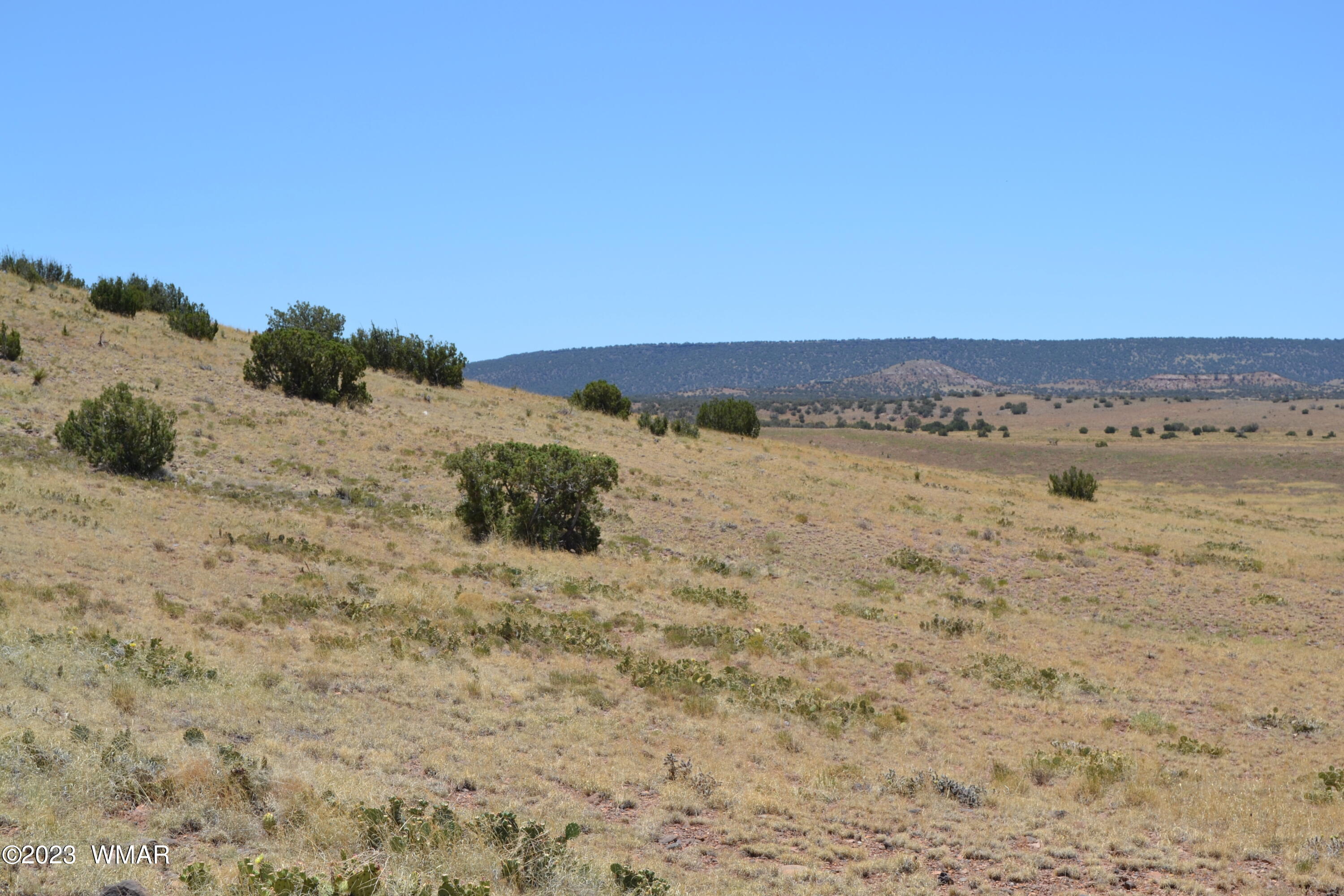 Lot 863 ACR N8497, Concho, AZ 85924 — Photo 1 of 13