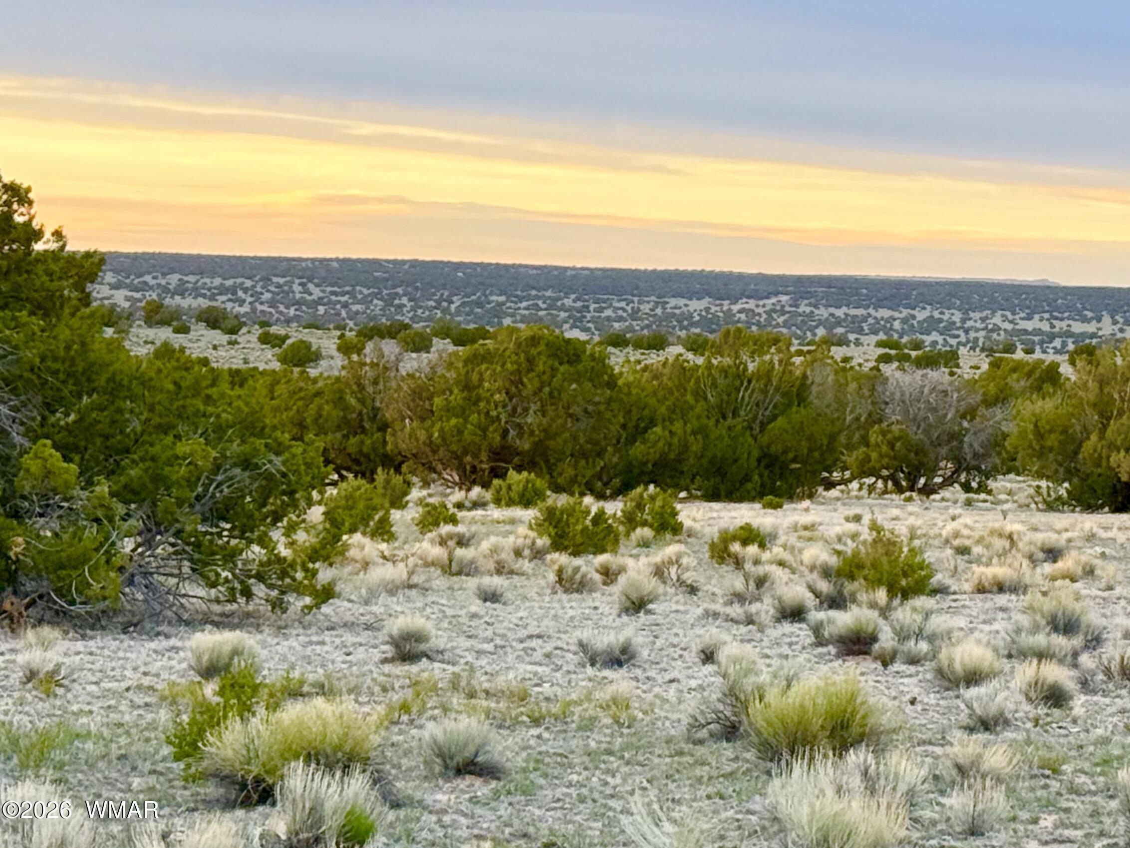 TBD Co Rd N6579 37.25 Acres, St. Johns, AZ 85936 — Photo 1 of 25