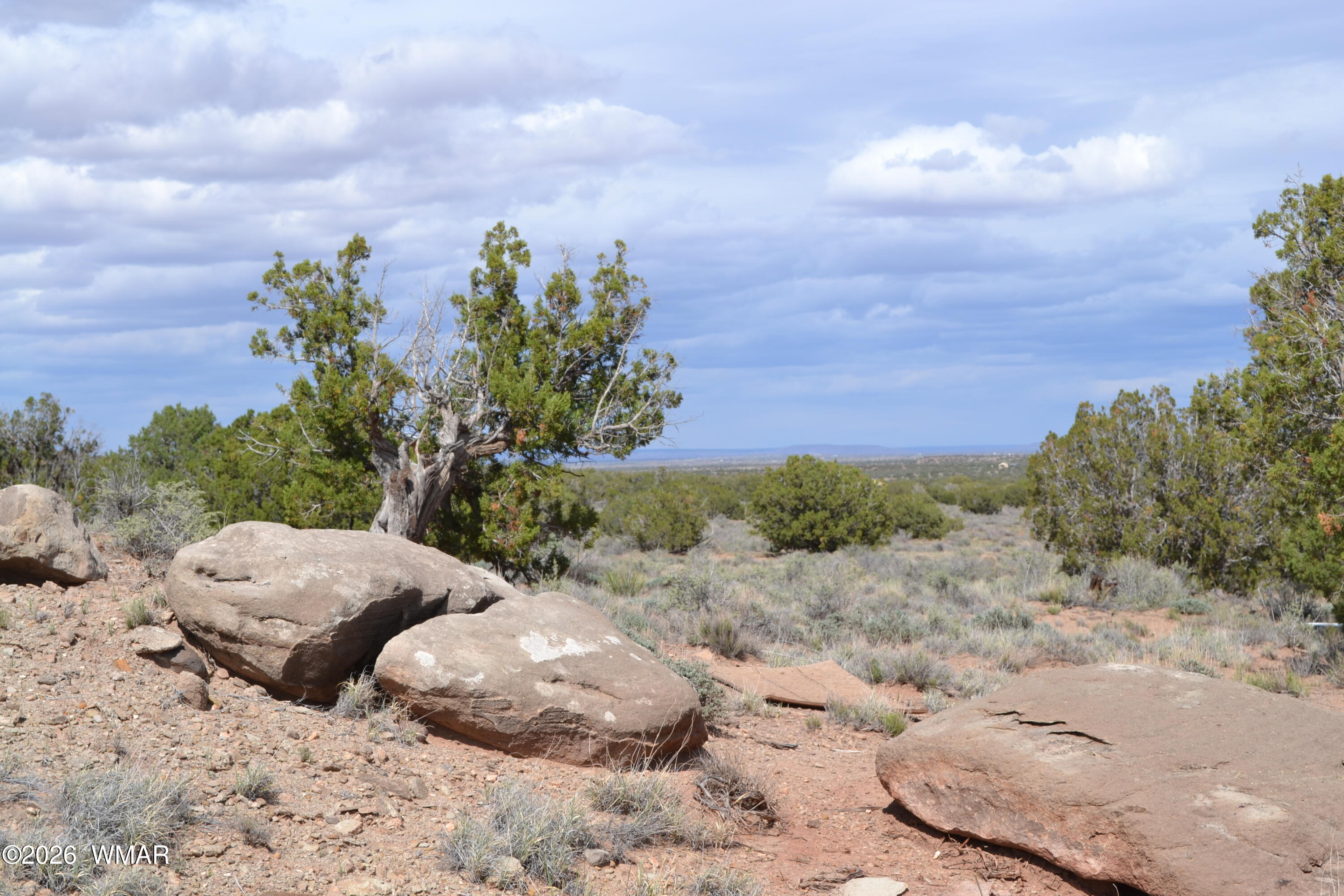 32 N8544, Concho, AZ 85924 — Photo 1 of 21