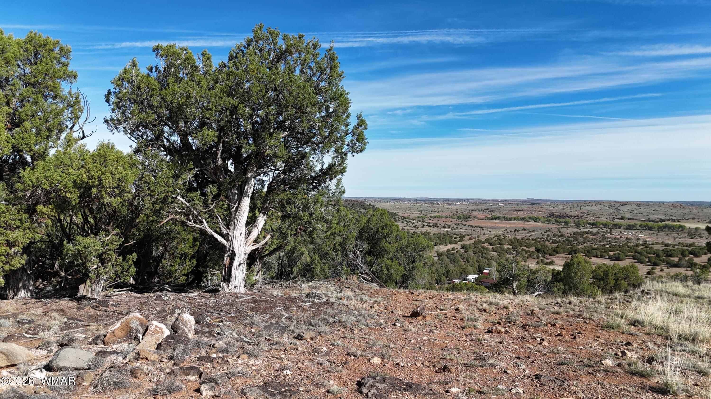 4450 S Freedom Circle, Taylor, AZ 85939 — Photo 1 of 6