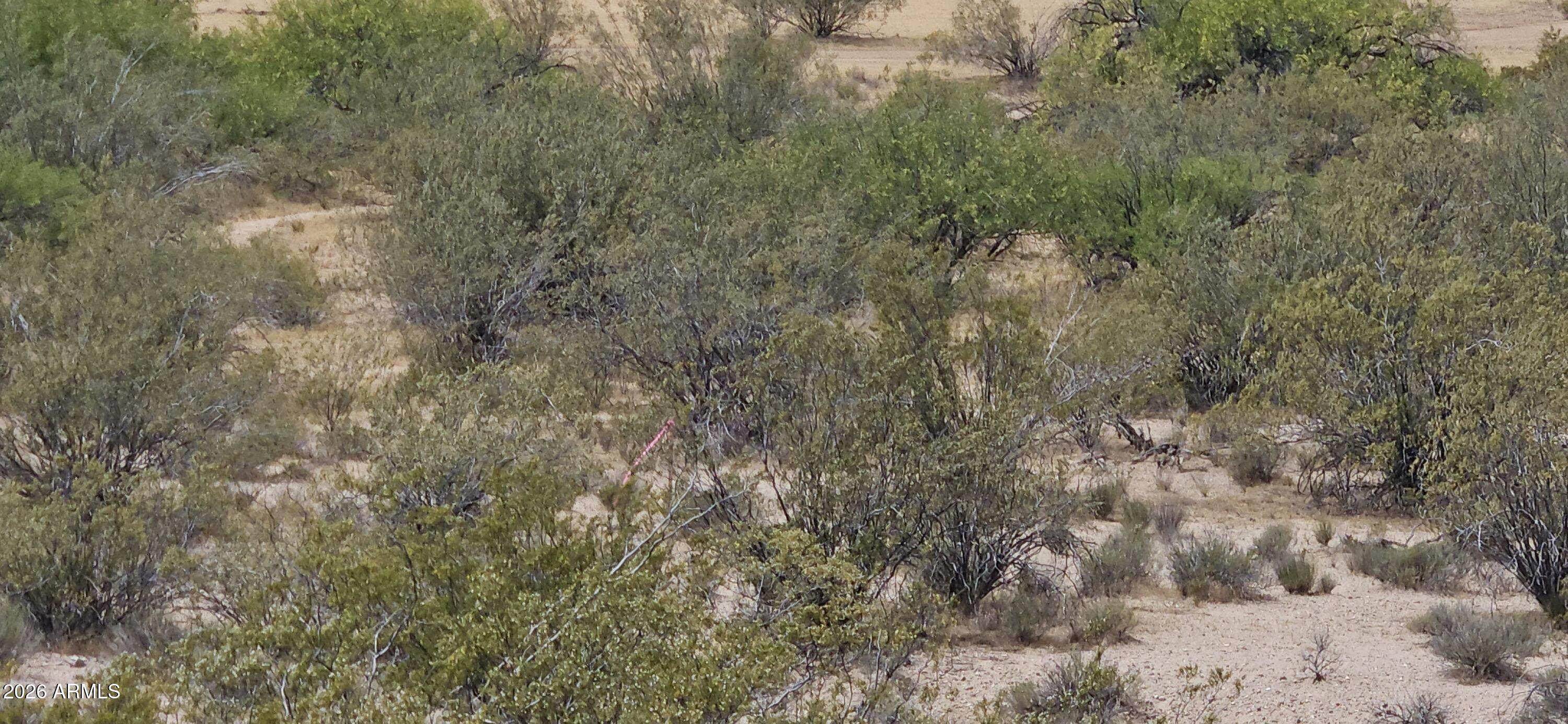 Thumbnail 14