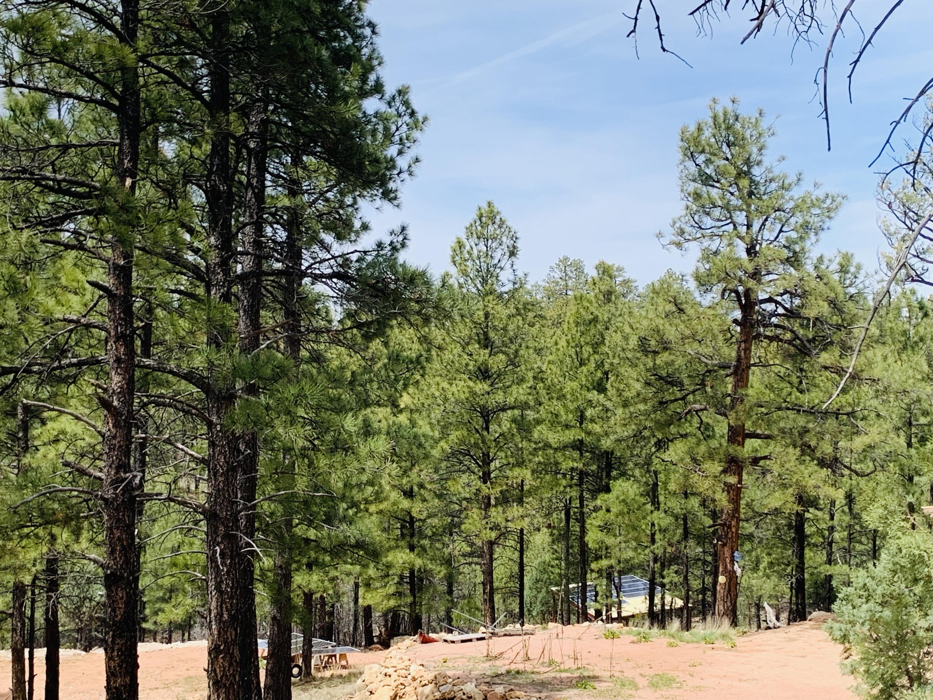 2816 Canyon View Drive, Happy Jack, AZ 86024 — Photo 1 of 16