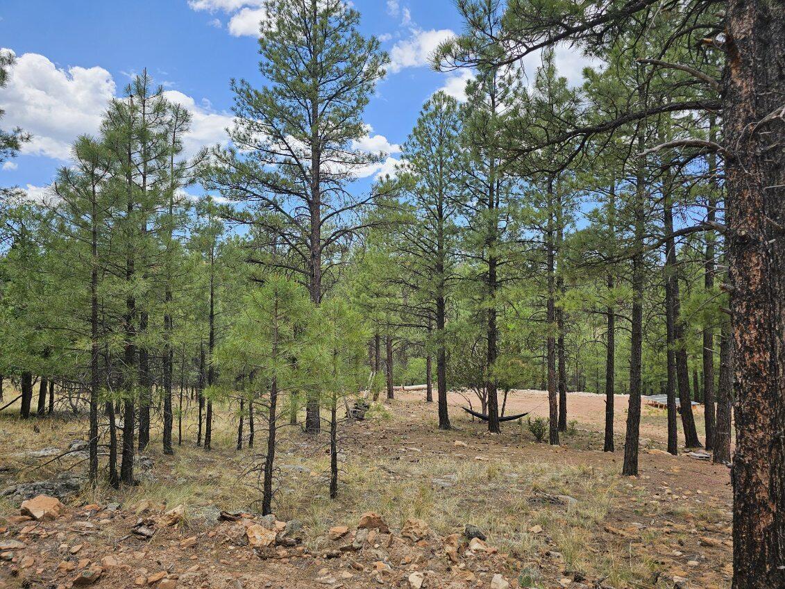 2788 Canyon View Drive, Happy Jack, AZ 86024 — Photo 1 of 8