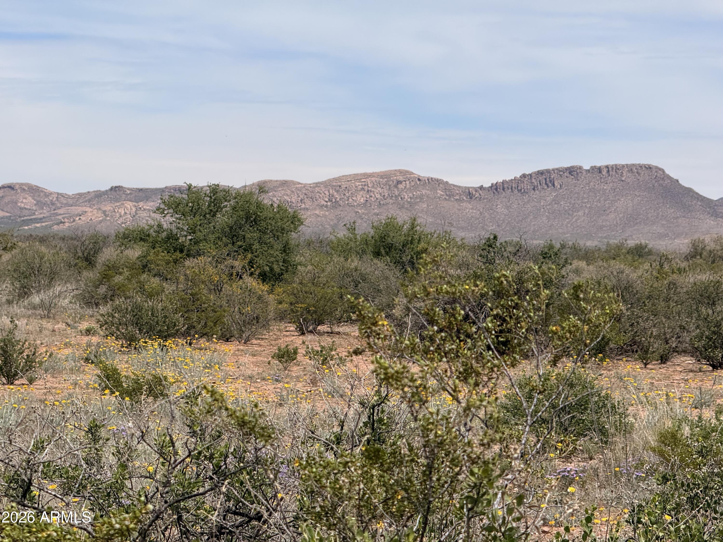 Lot 3940 N Valladolid Drive 3940, Douglas, AZ 85607