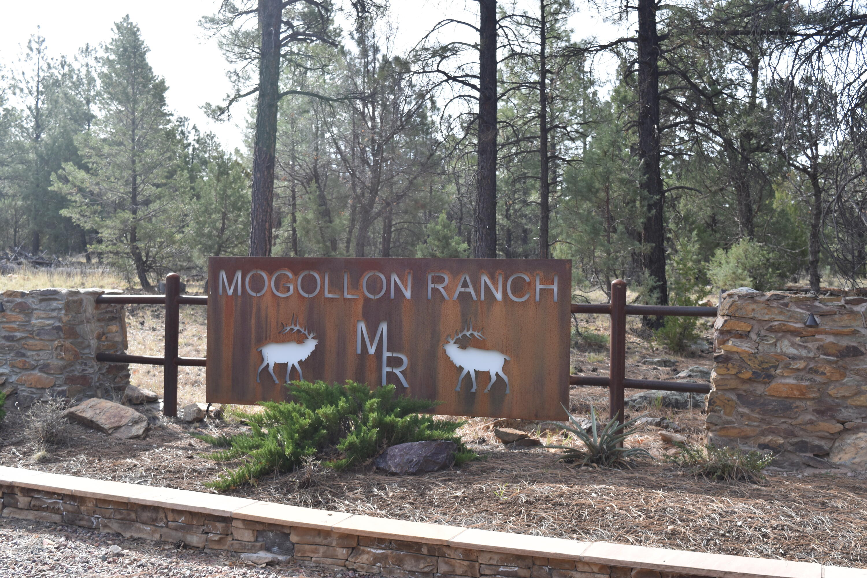 3758 Pinehurst Drive, Happy Jack, AZ 86024 — Photo 1 of 11