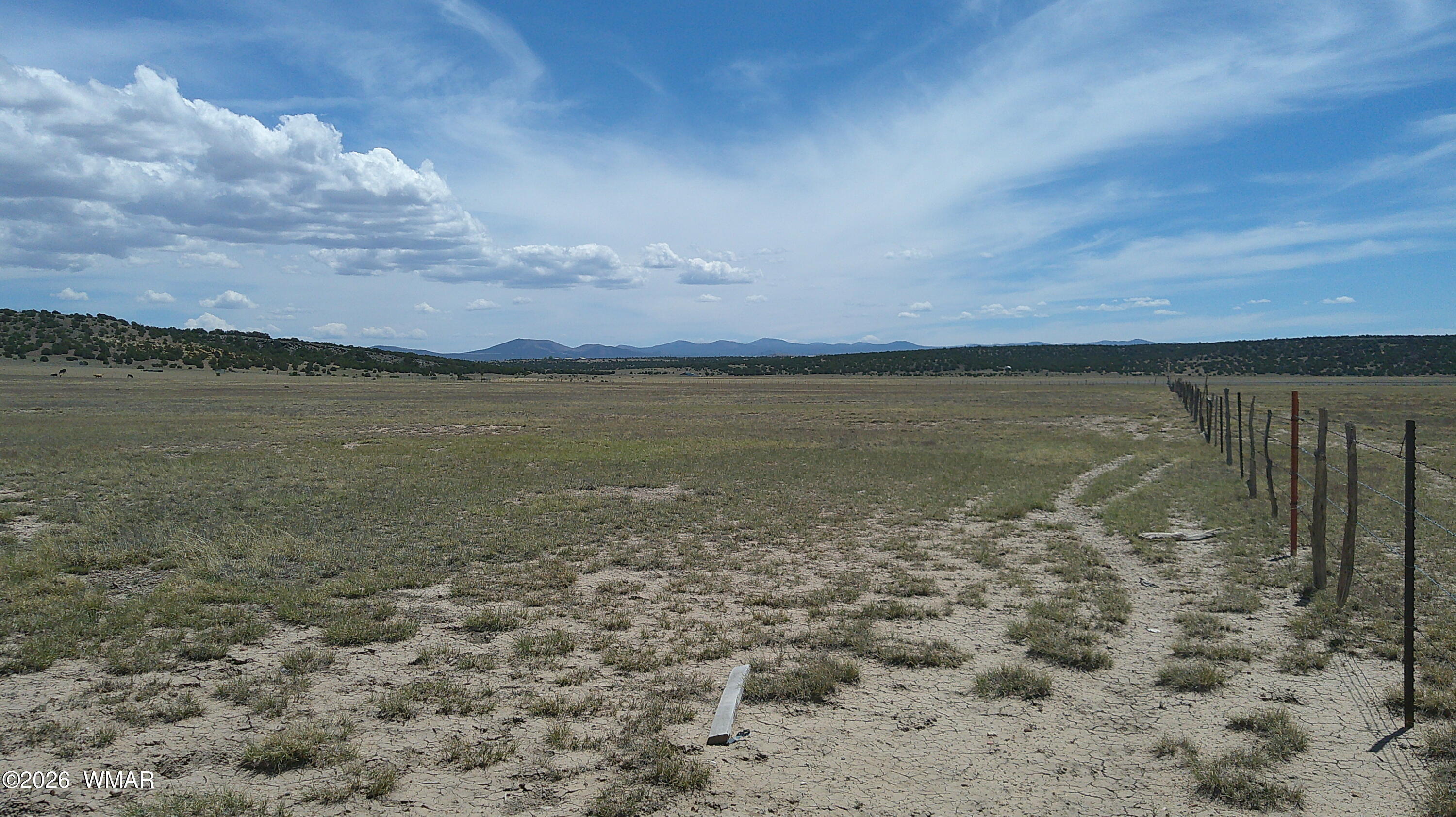 TBD Windsor Valley Ranch 40, Concho, AZ 85924 — Photo 1 of 11