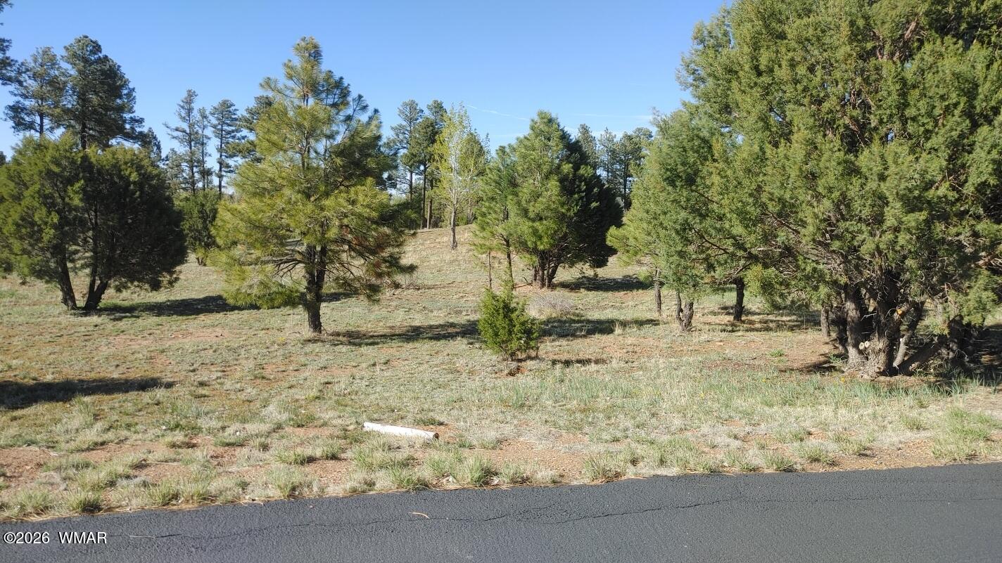 2254 Big Bear Circle, Overgaard, AZ 85933 — Photo 1 of 2