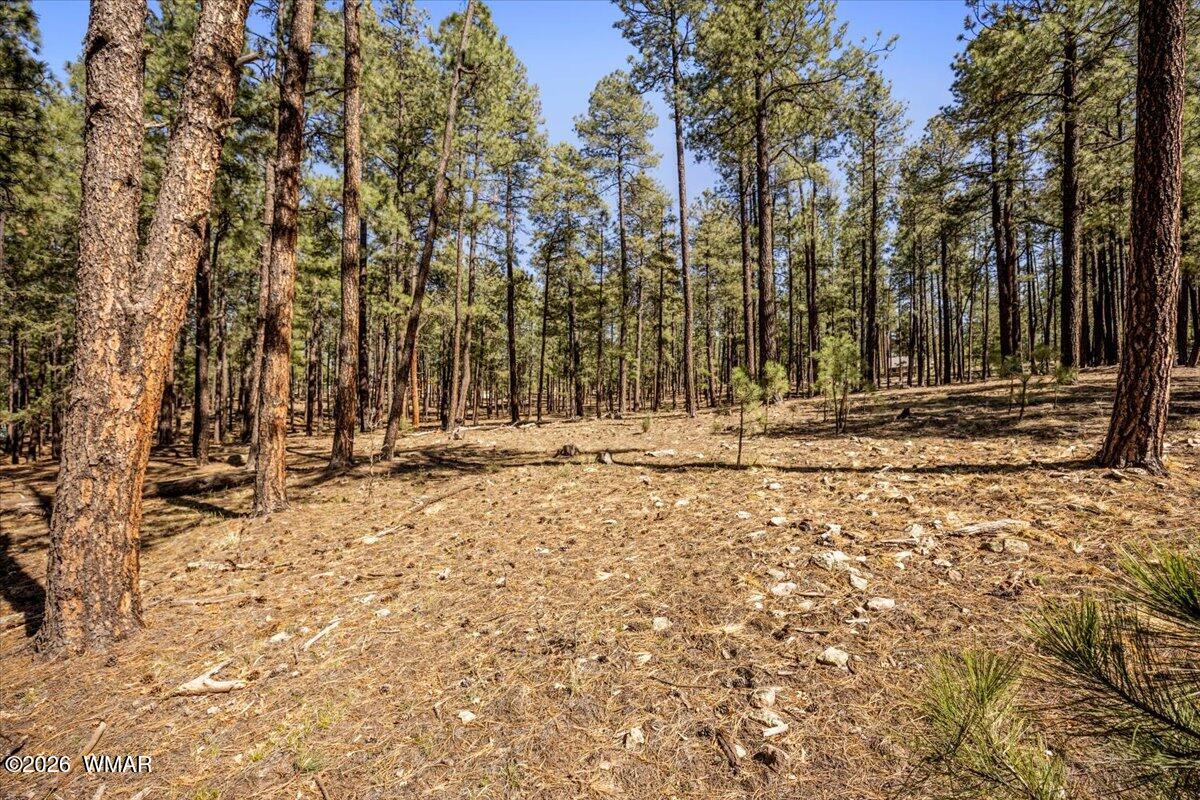 TBD County Road 2325, Alpine, AZ 85920 — Photo 1 of 13