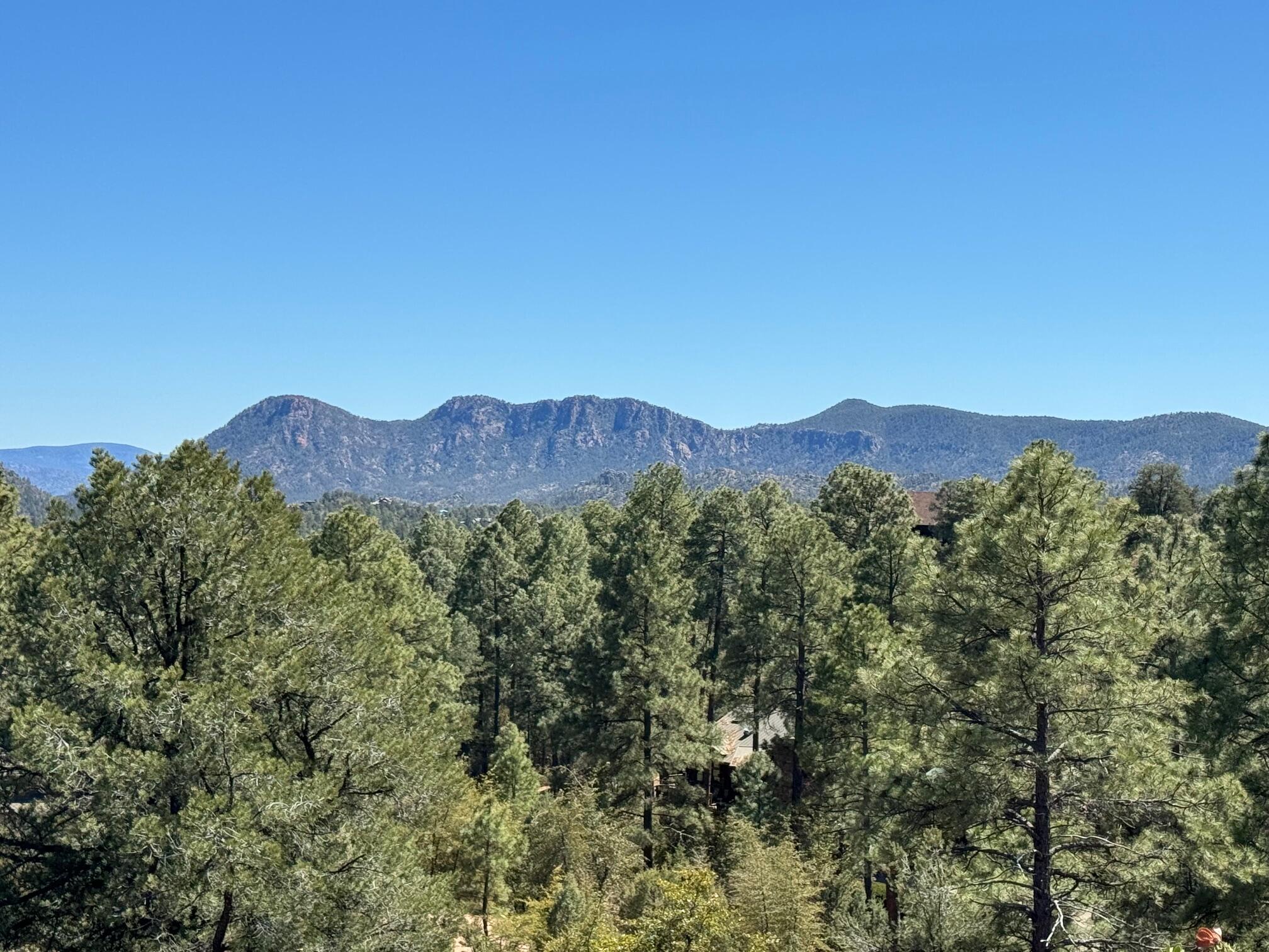 912 N Indian Paintbrush Circle, Payson, AZ 85541 — Photo 1 of 33