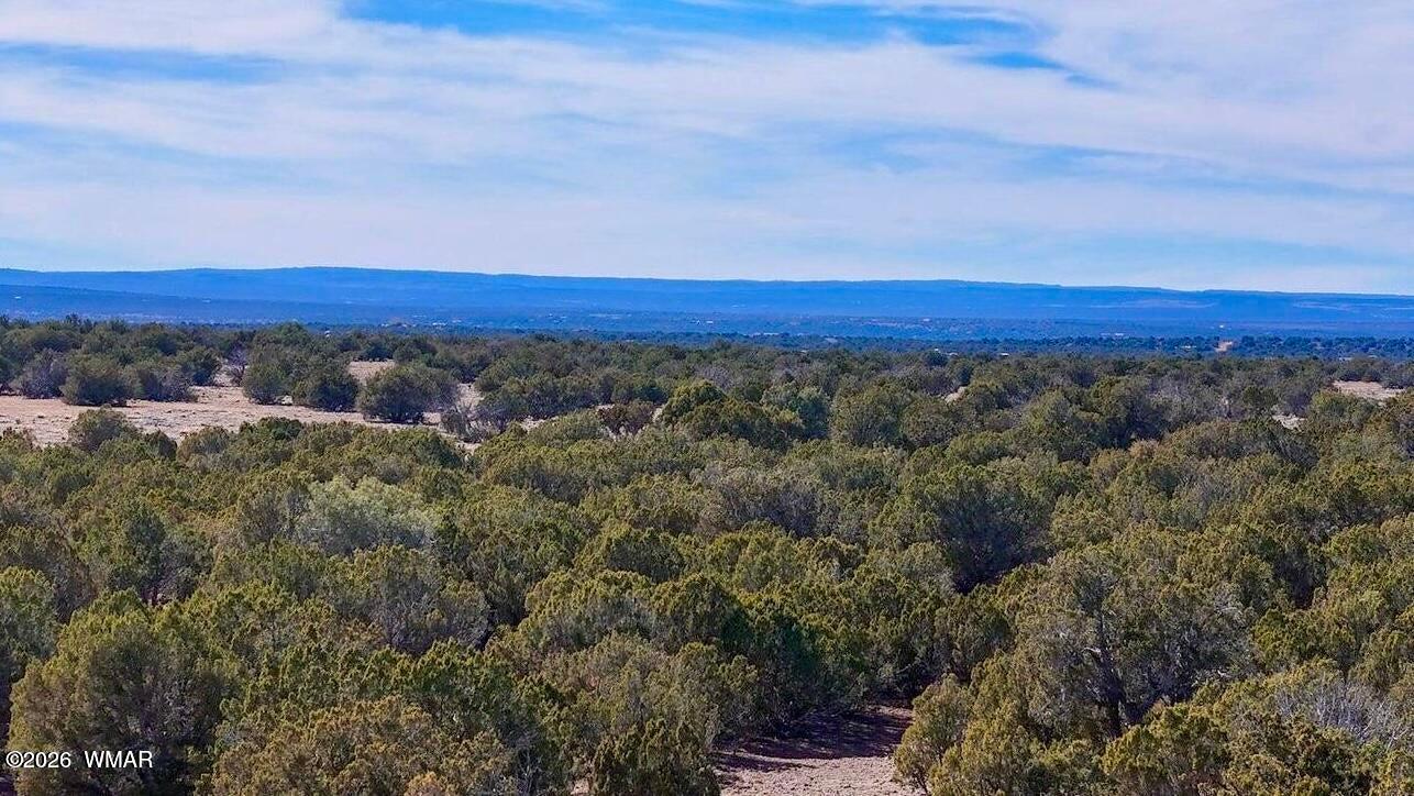 9023 Appaloosa Trail Lot E 10 Acres, Show Low, AZ 85901