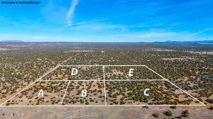 9023 Appaloosa Trail Lot D 10 Acres, Show Low, AZ 85901