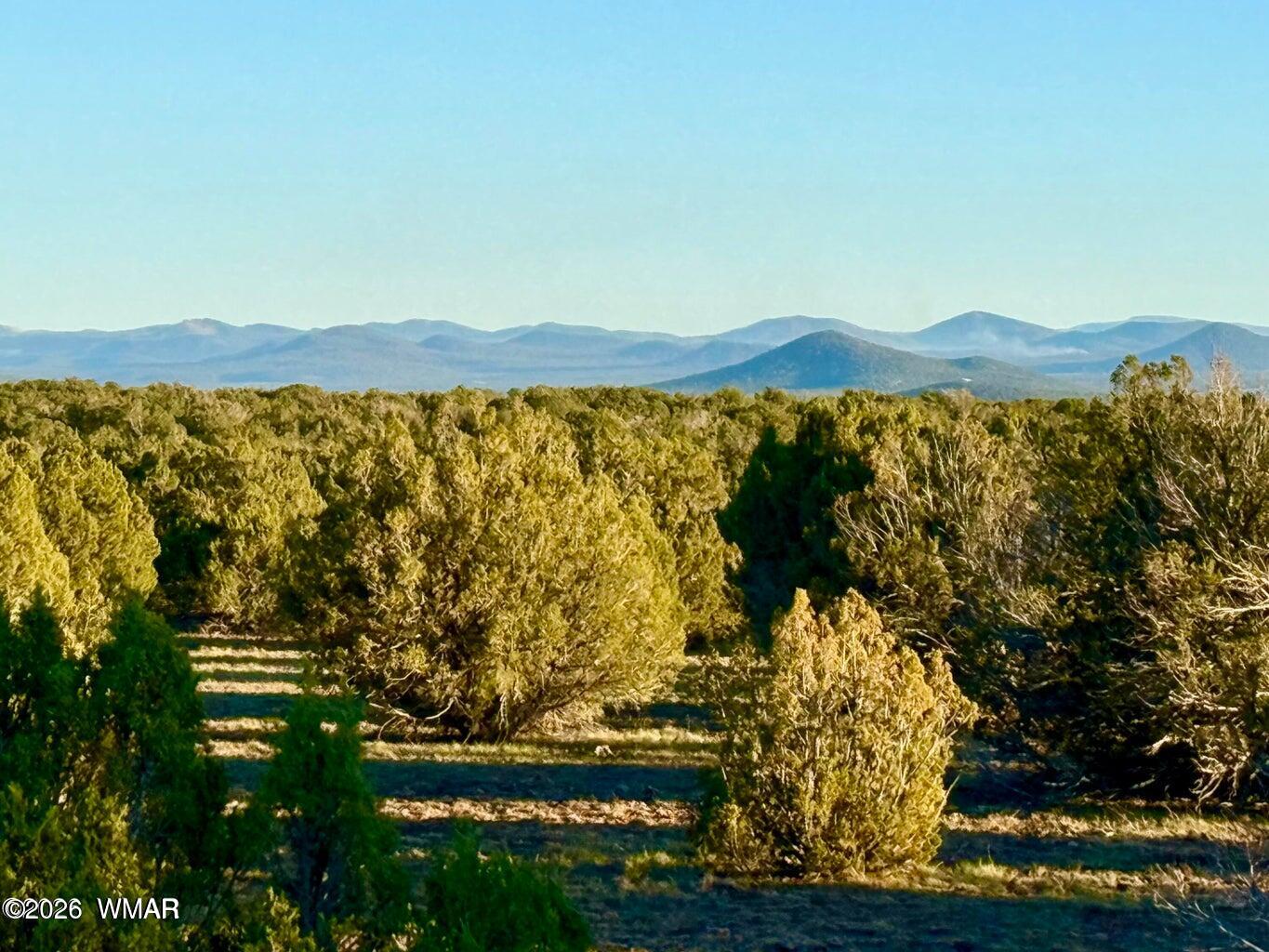 9023 Appaloosa Lot C 10 Acres Trail, Show Low, AZ 85901 — Photo 1 of 26