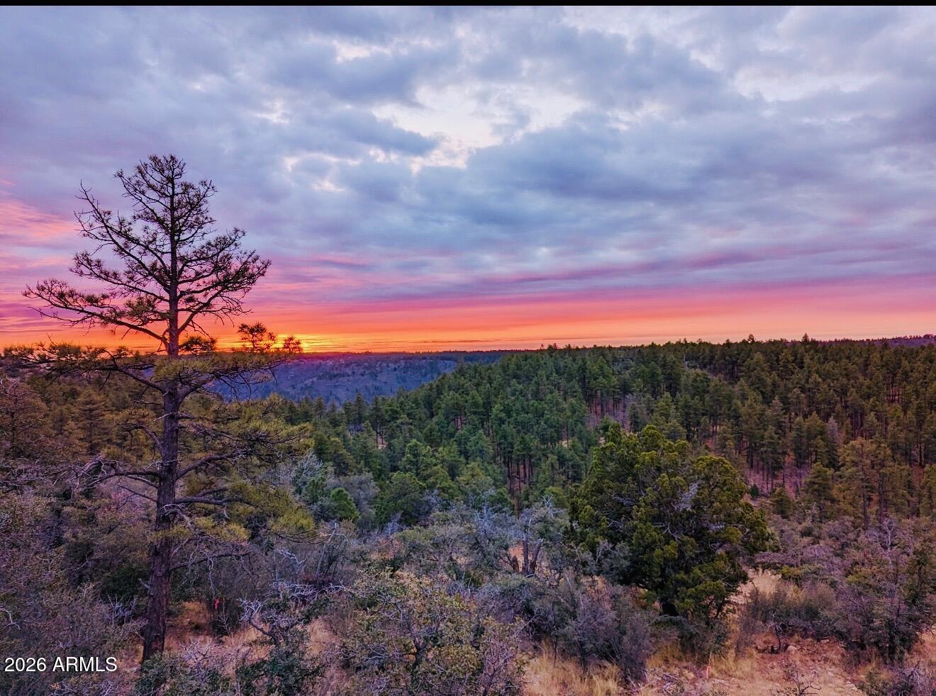Thumbnail 23