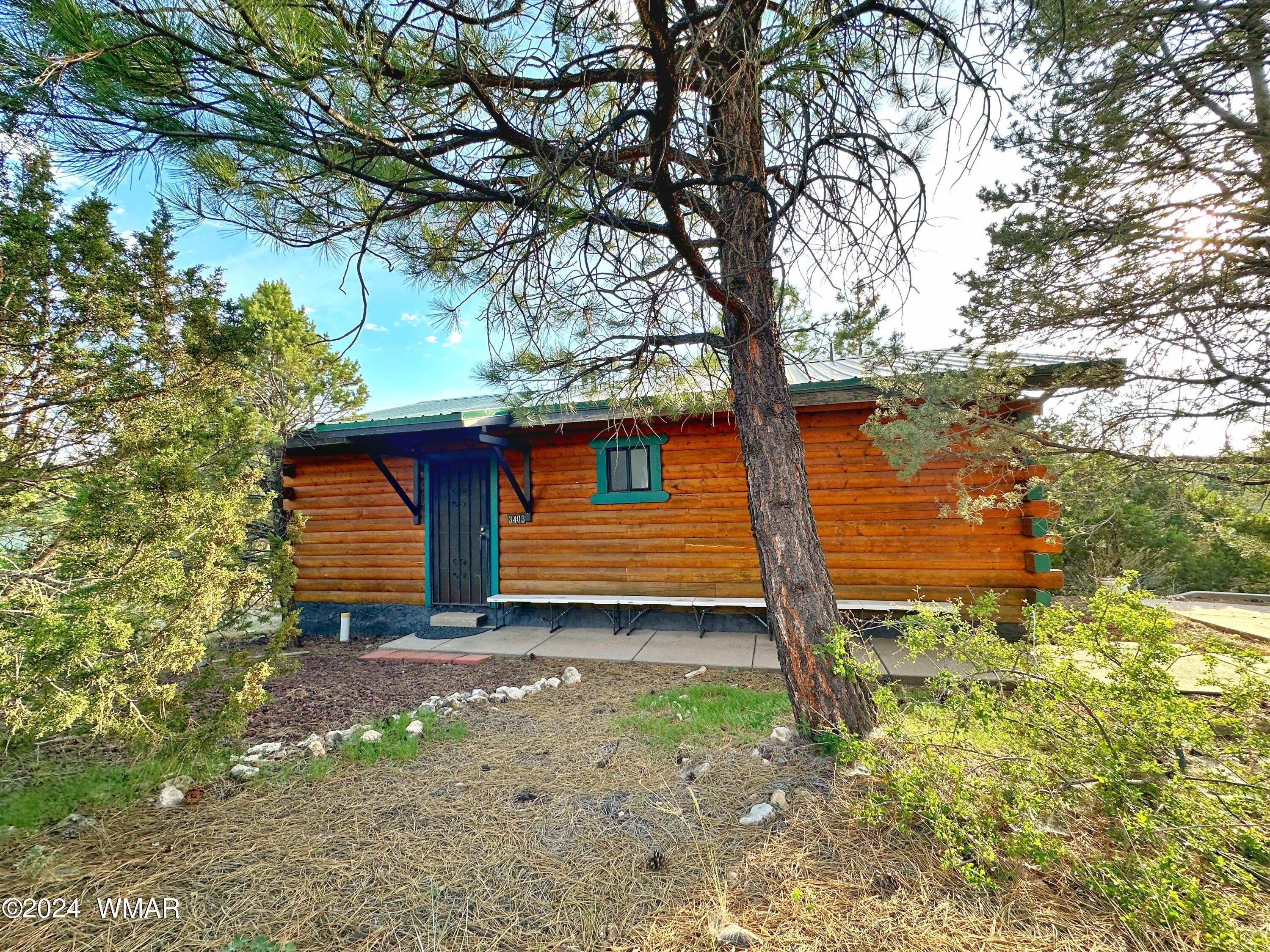 3403 Top View Road, Overgaard, AZ 85933 — Photo 1 of 19