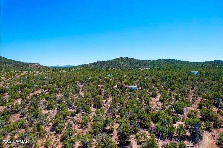 15 Co Rd 3037 1.14 Acres, Vernon, AZ 85940 — Photo 1 of 8