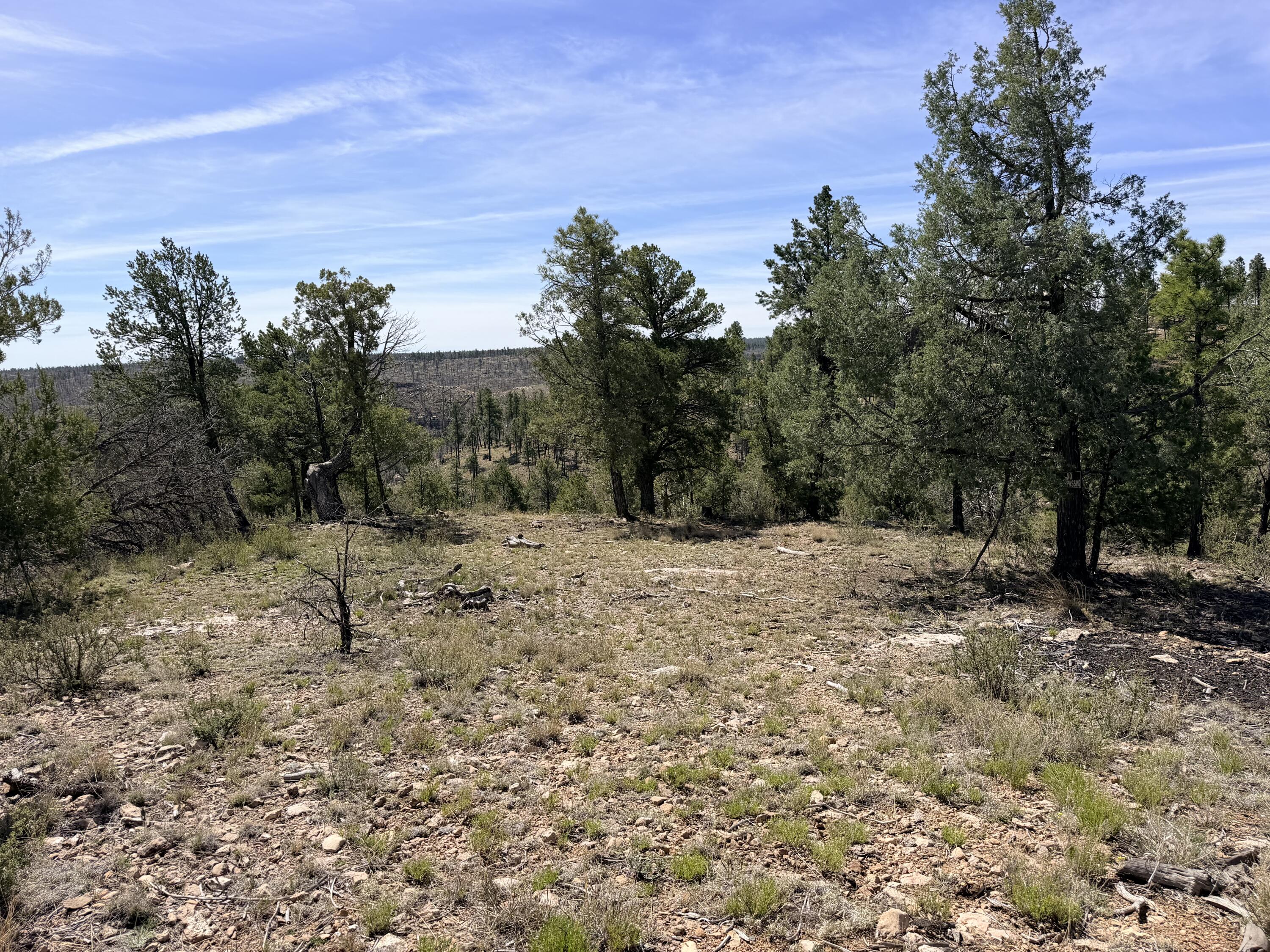 5088 Morning View Drive, Happy Jack, AZ 86024 — Photo 1 of 8