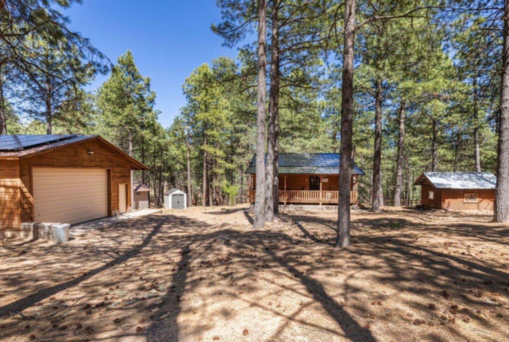 341 Pinto Road, Forest Lakes, AZ 85931