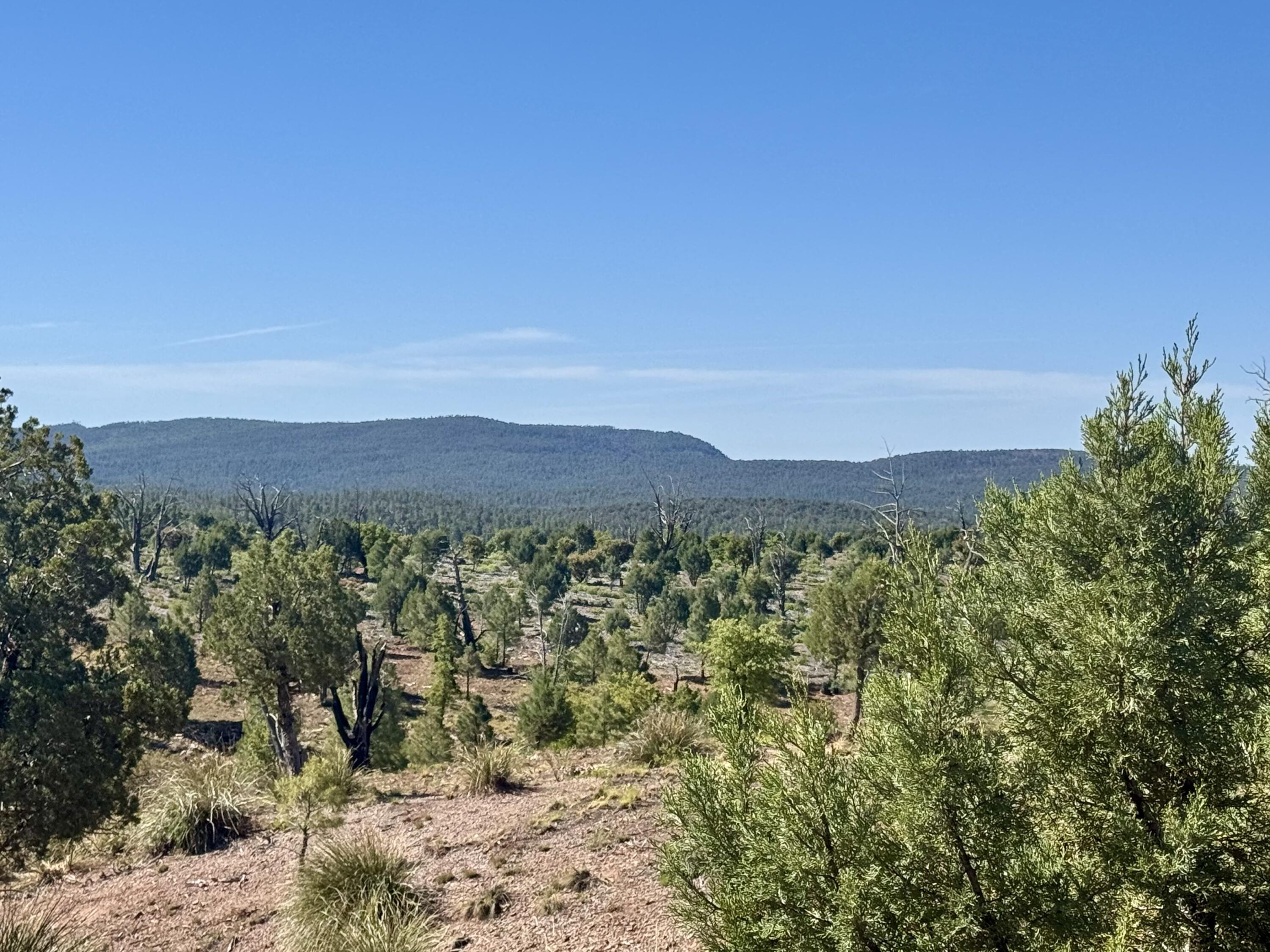 744 E Antelope Trail, Payson, AZ 85541 — Photo 1 of 5