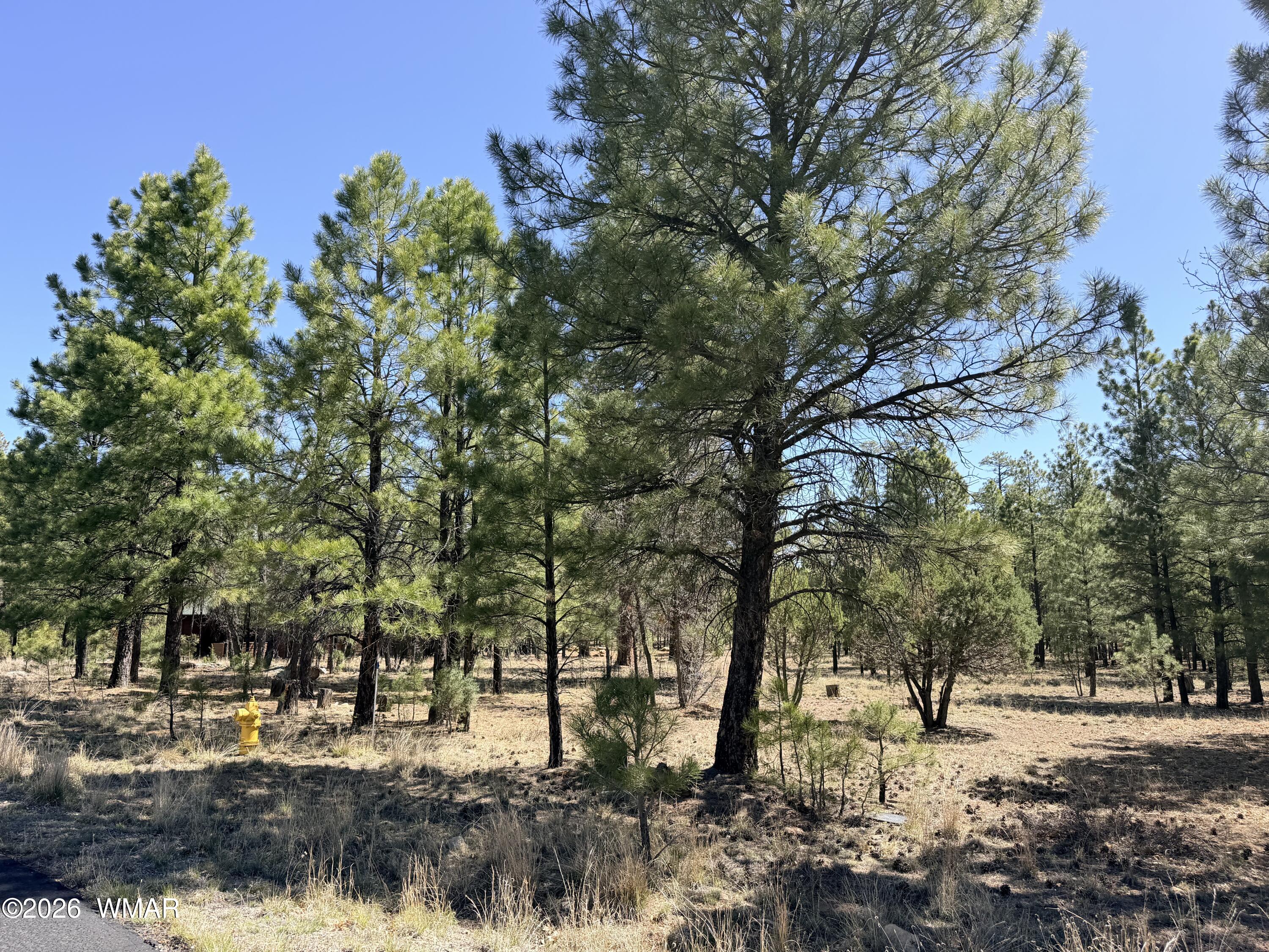 1755 Sugar Pine Drive, Happy Jack, AZ 86024 — Photo 1 of 18