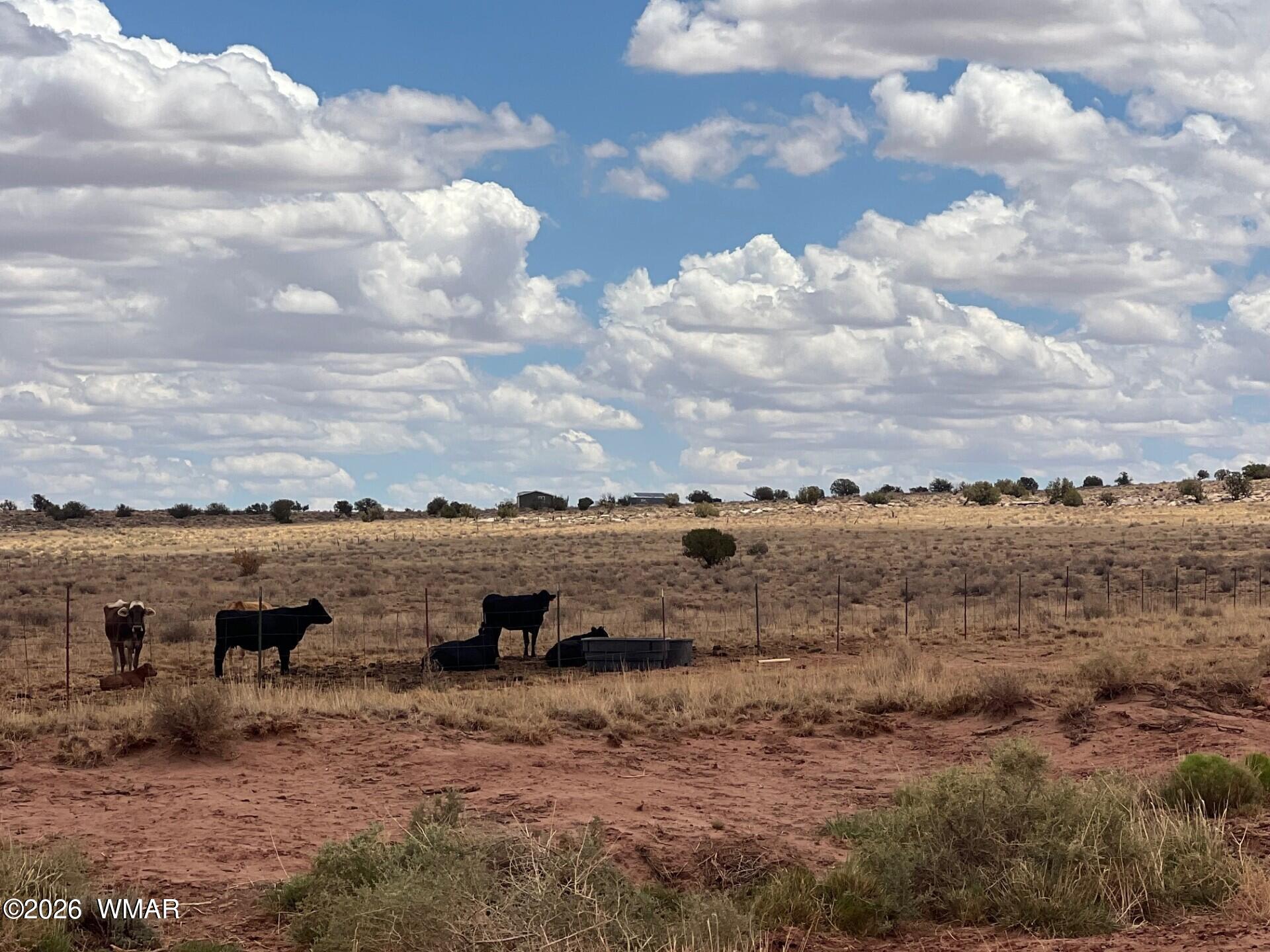 8400 8358 & 8357 Terry Trail, Snowflake, AZ 85937 — Photo 1 of 14